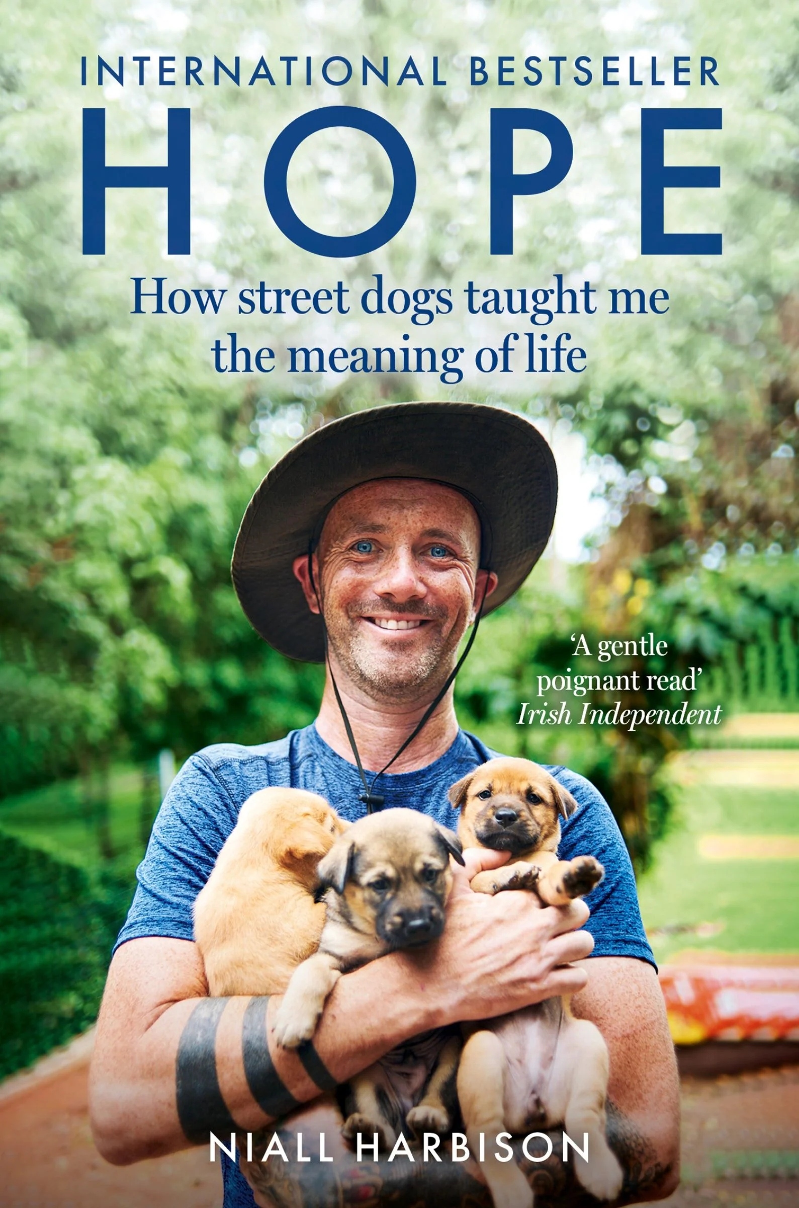 Hope – How Street Dogs Taught Me the Meaning of Life - Image 2