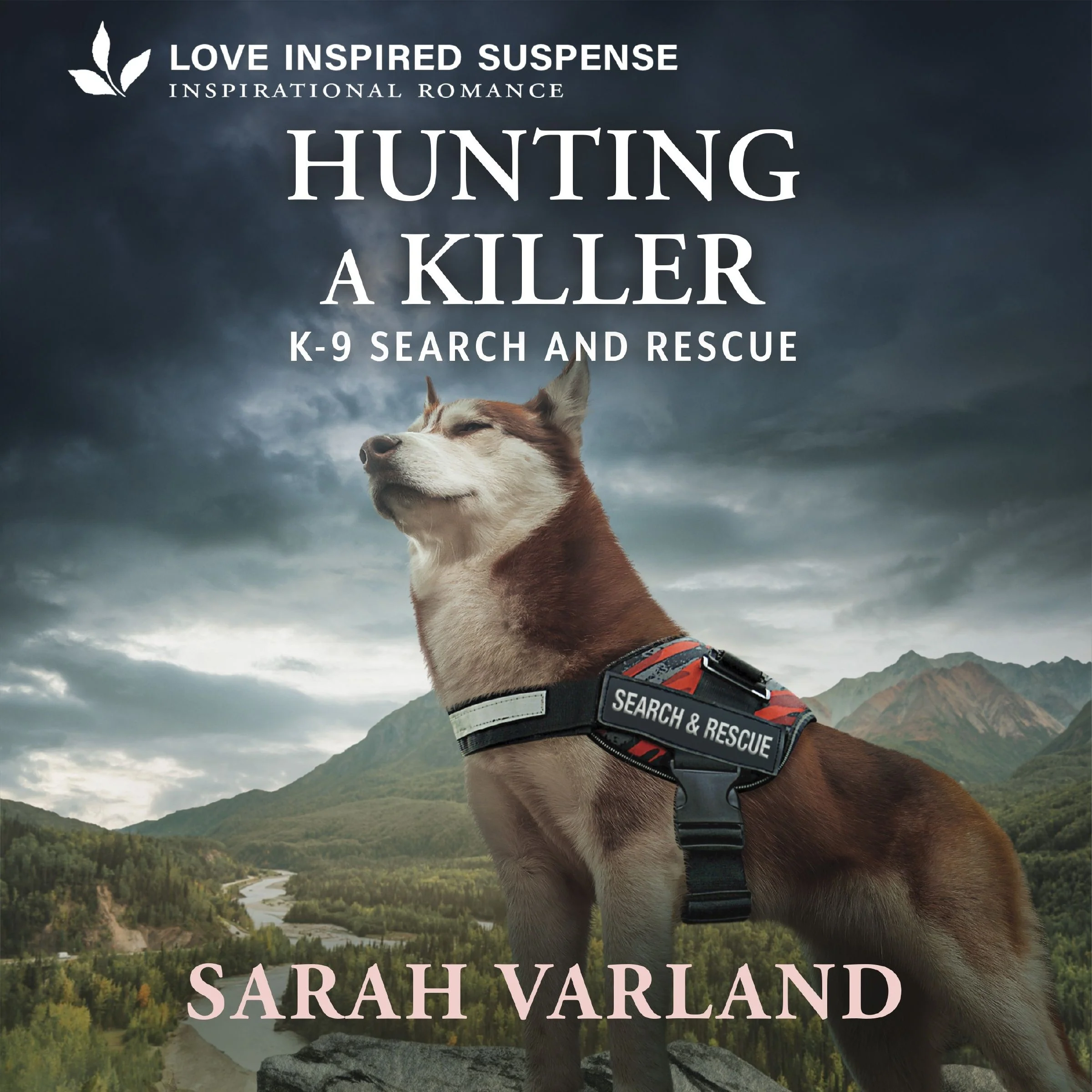 Hunting a Killer - Image 2