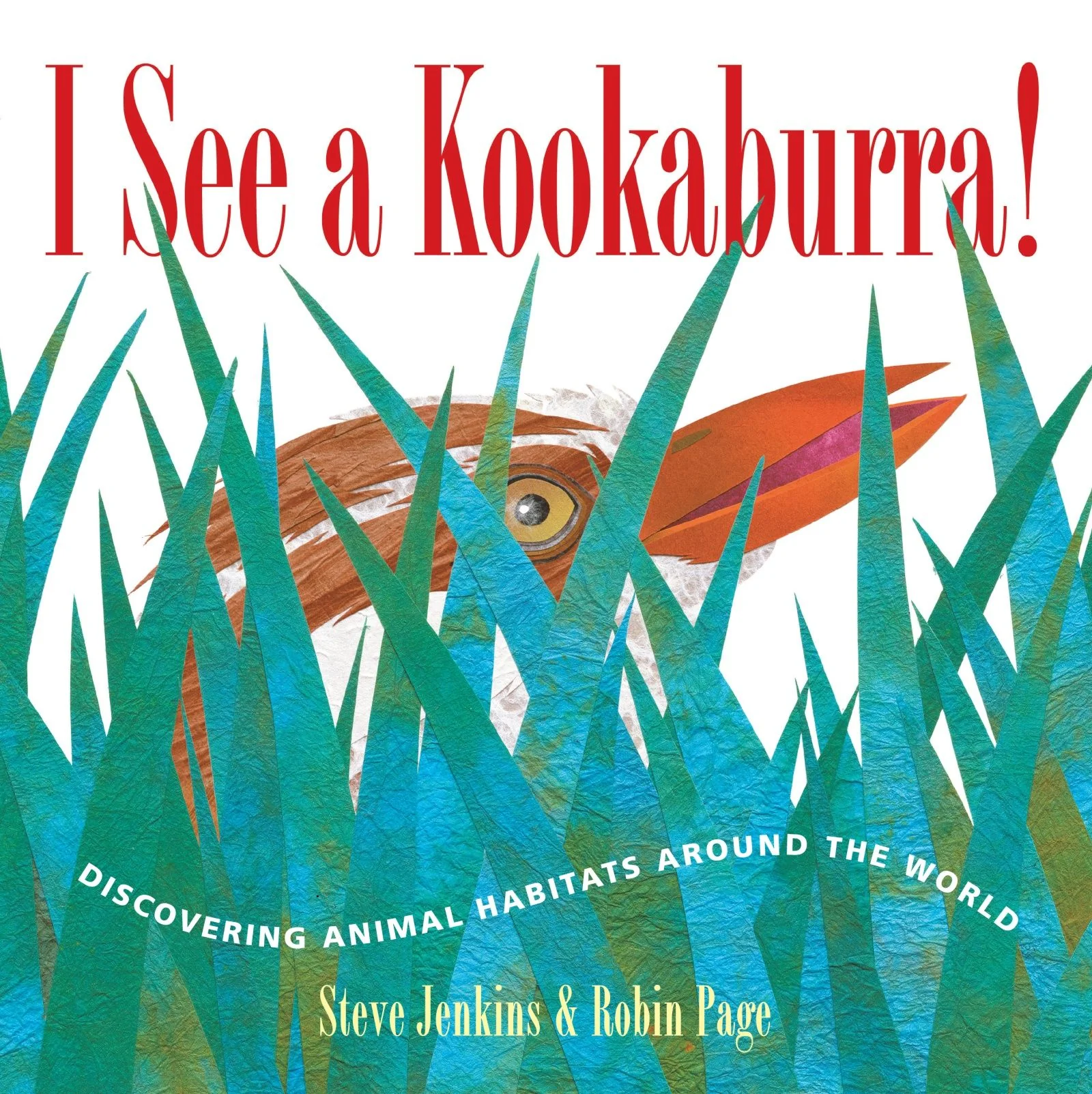 I See a Kookaburra!