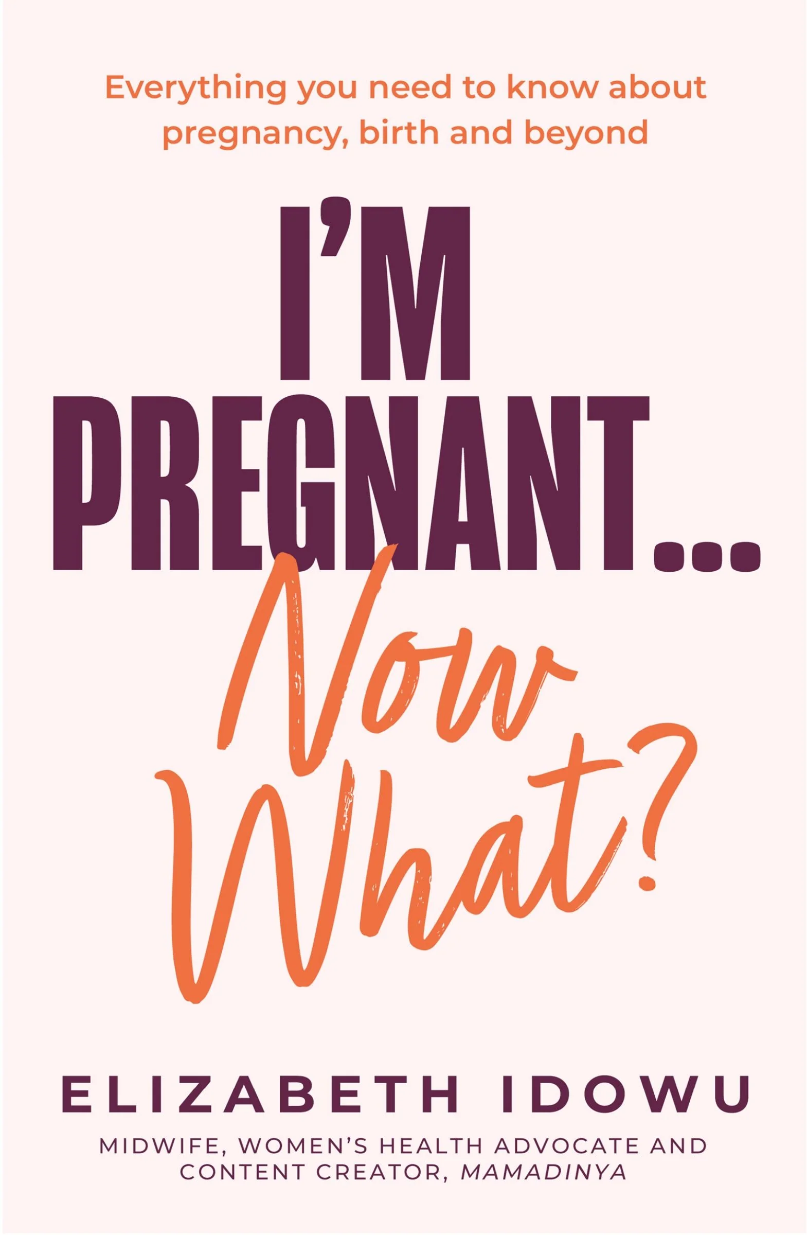 I’m Pregnant … Now What? - Image 2