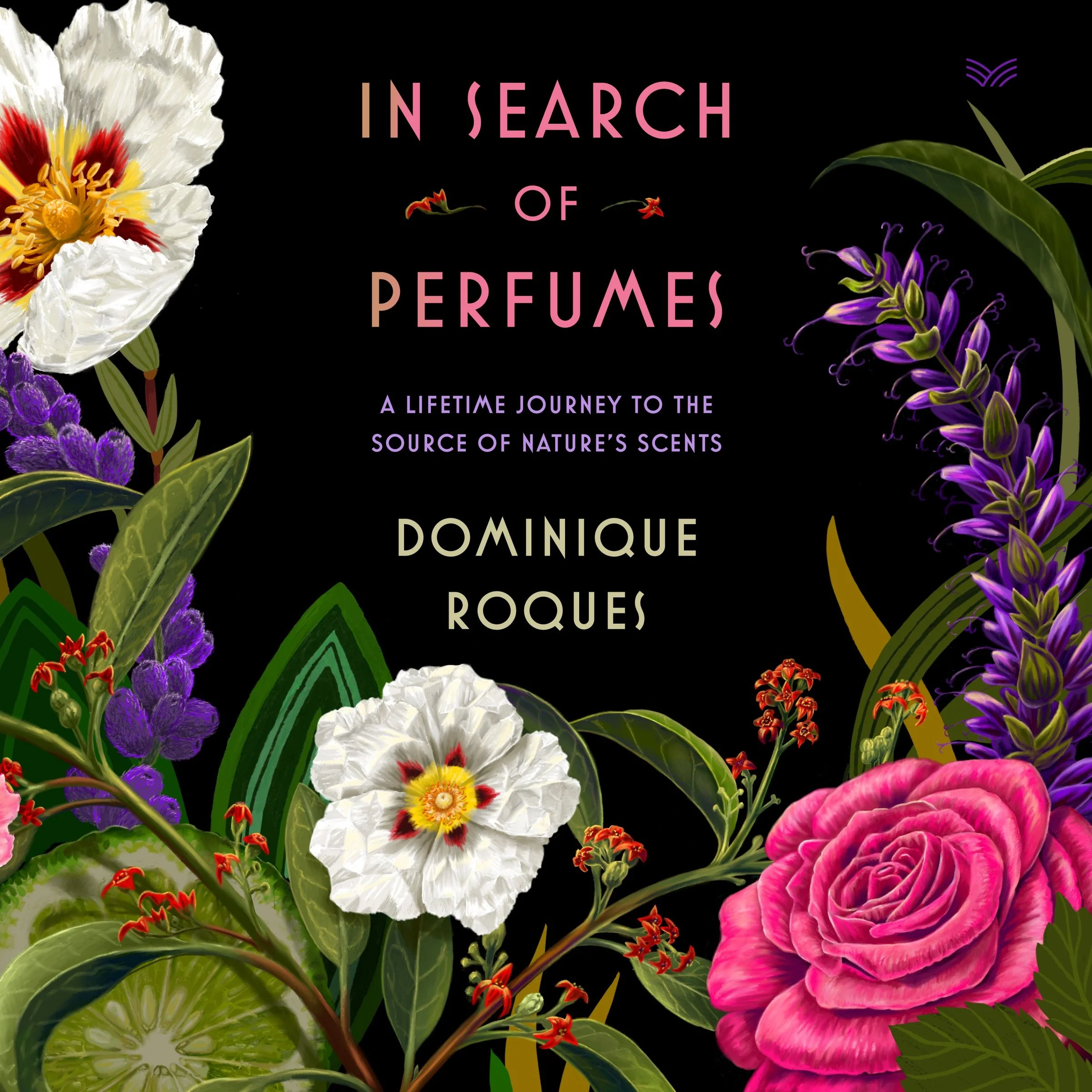 In Search of Perfumes - Image 3