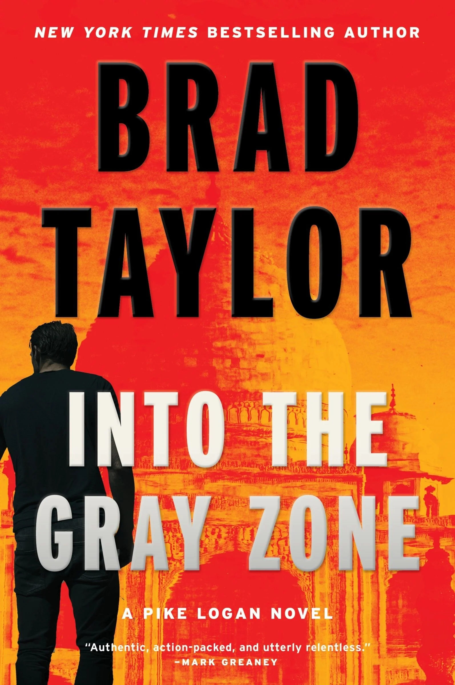 Into the Gray Zone - Image 6