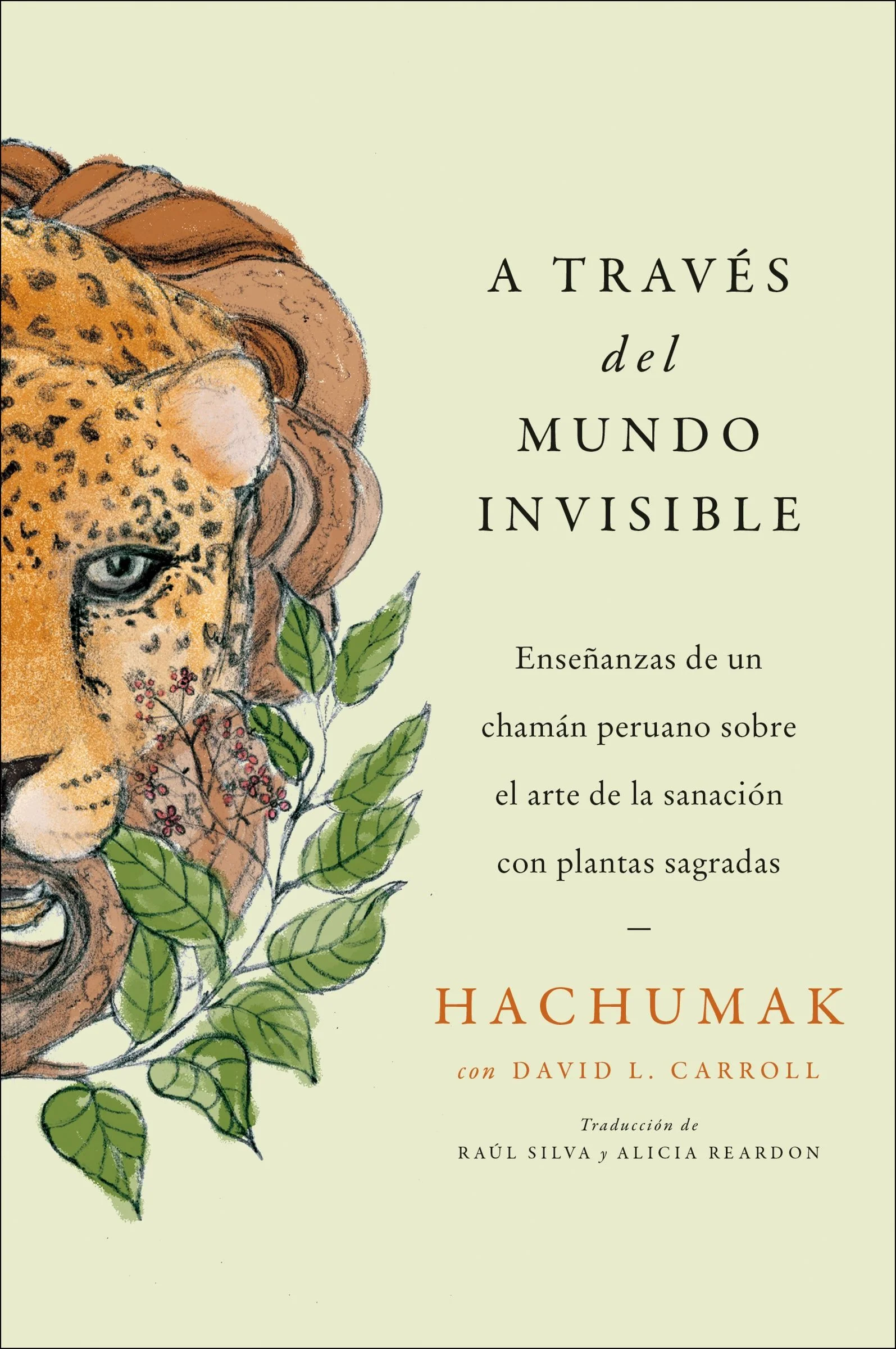Journeying Through the Invisible \  A través del mundo invisible (Sp. ed.)
