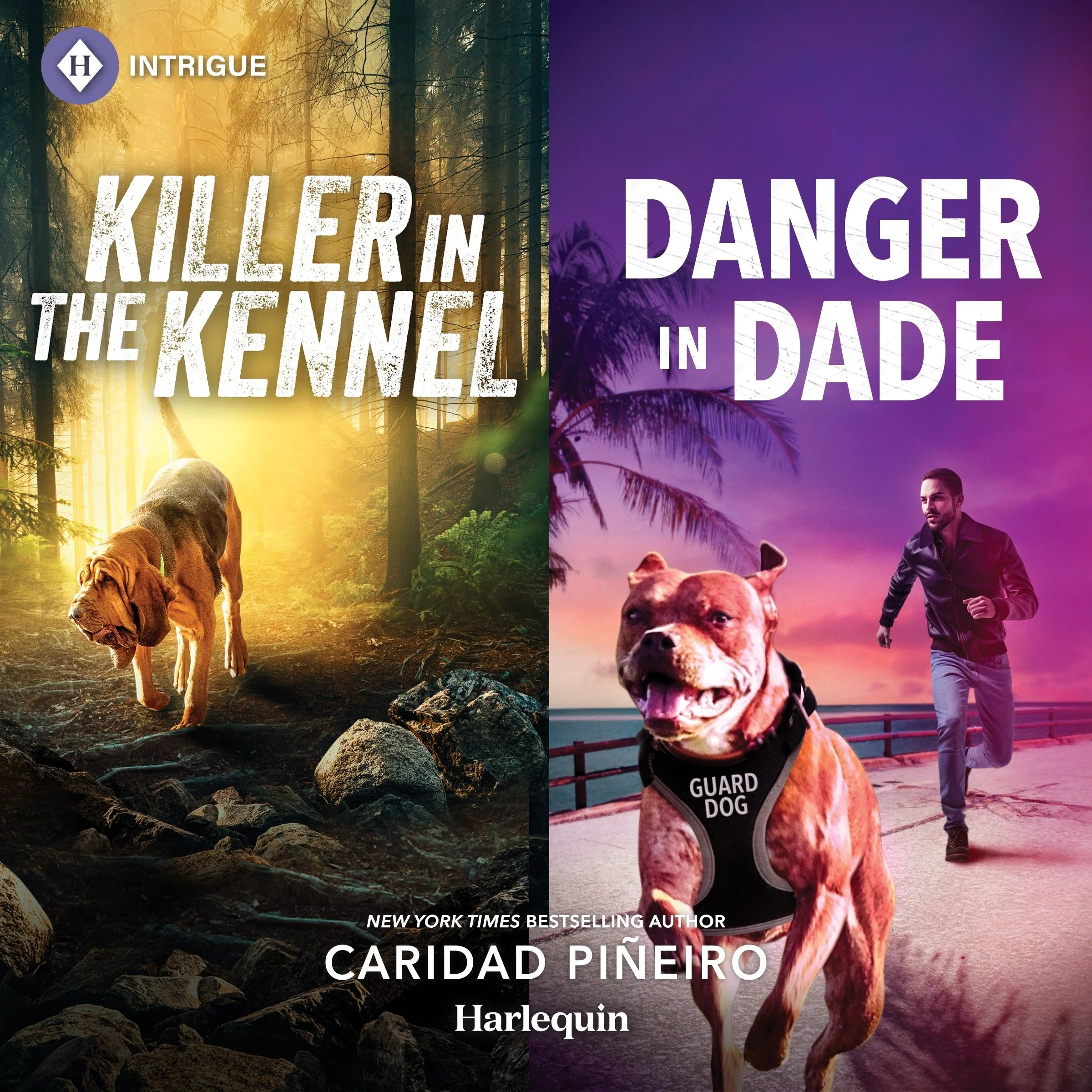 Killer in the Kennel & Danger in Dade - Image 2