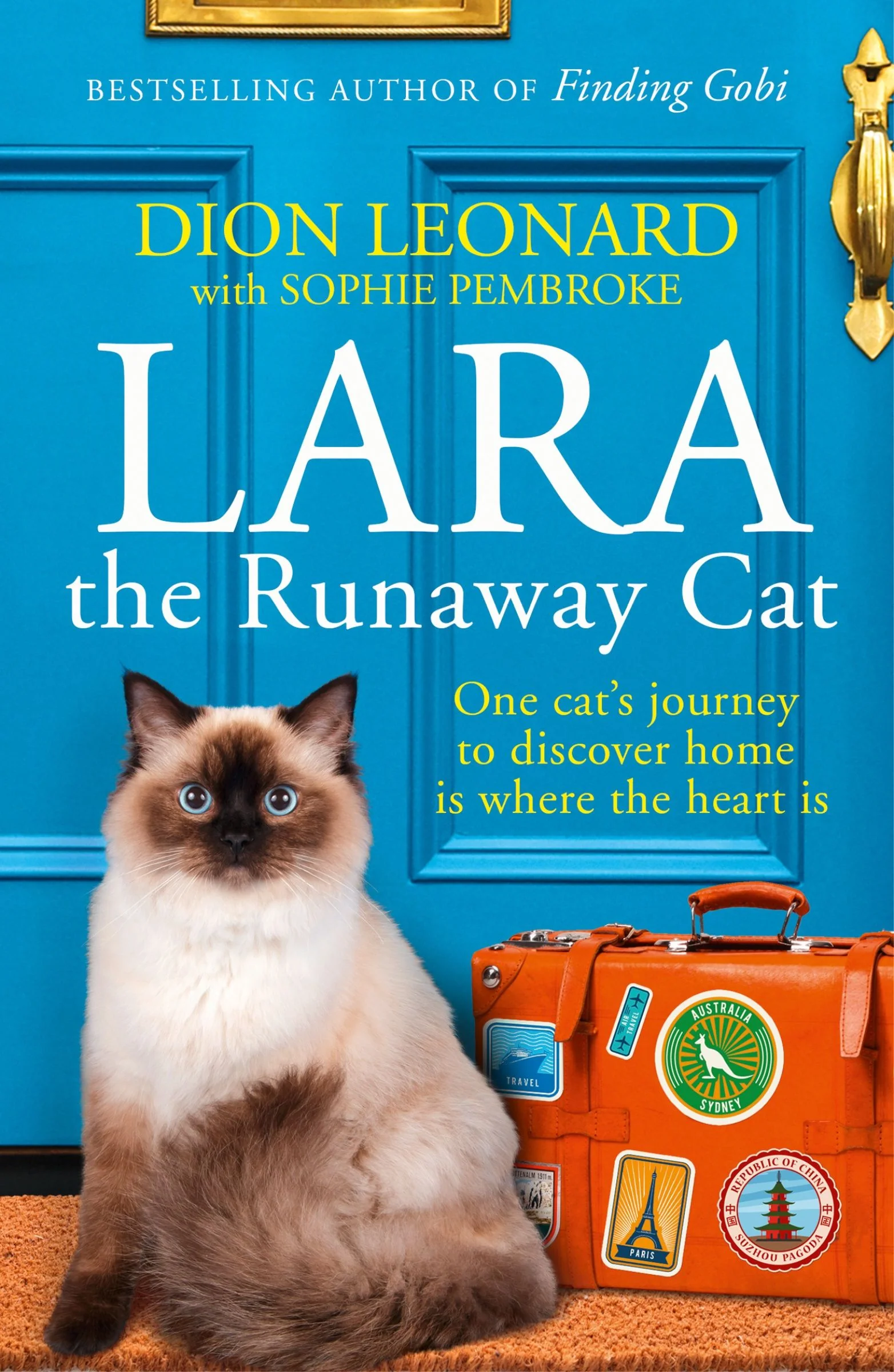 Lara The Runaway Cat - Image 2