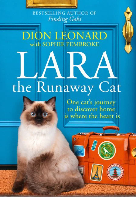 Lara The Runaway Cat - Image 3