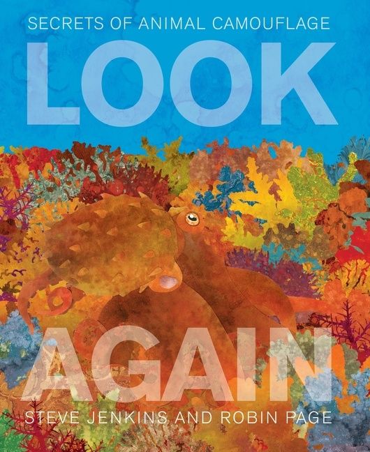 Look Again - Image 3