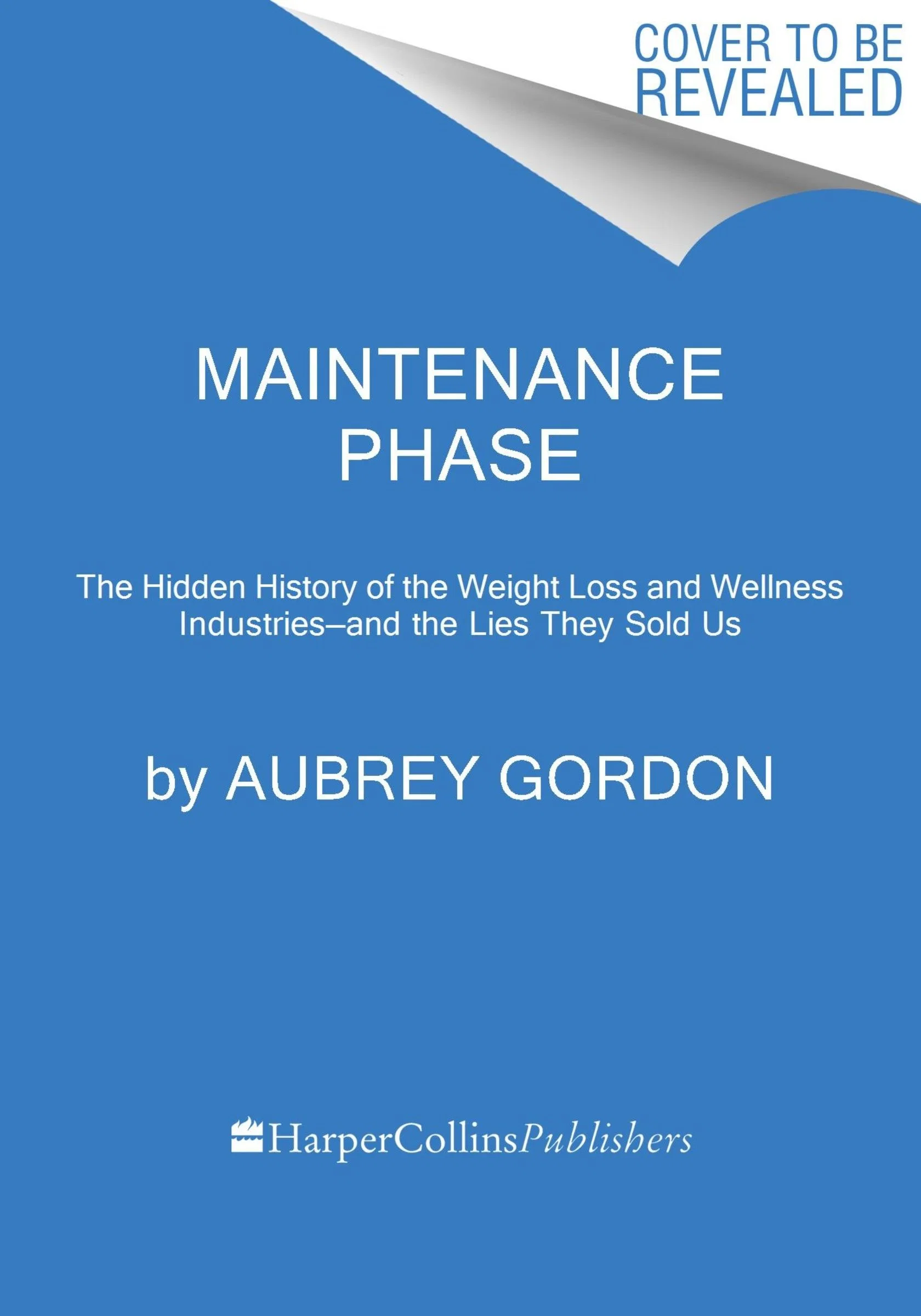 Maintenance Phase - Image 2