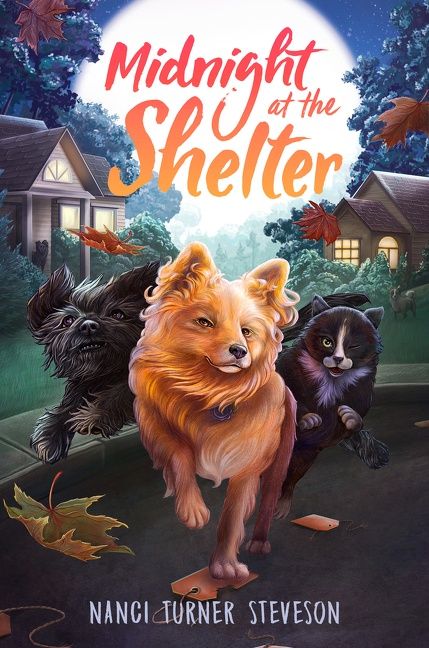 Midnight at the Shelter - Image 2