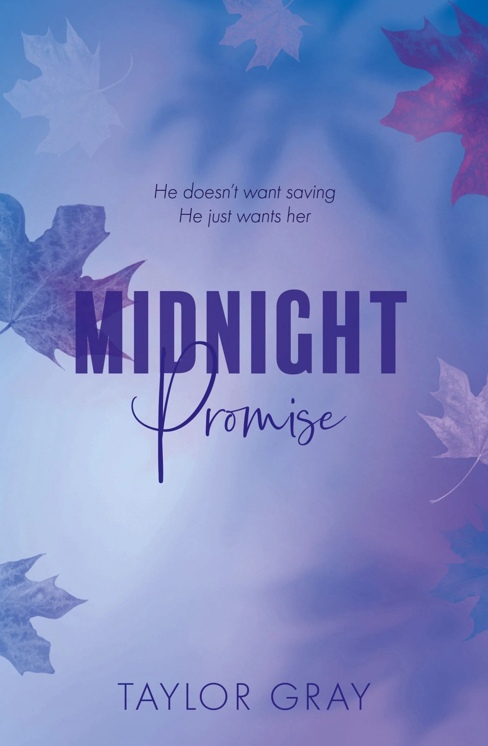 Midnight Promise (The Carter Brothers, Book 5)