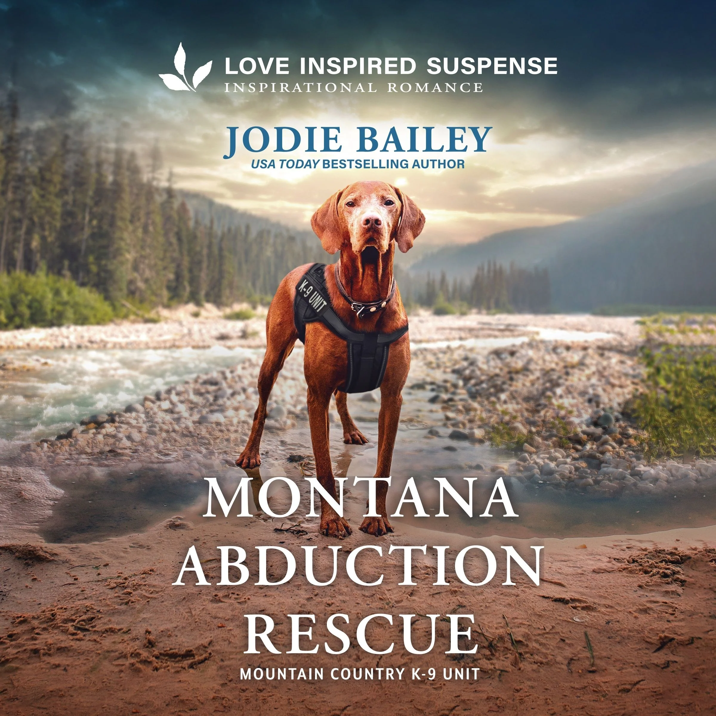 Montana Abduction Rescue - Image 2