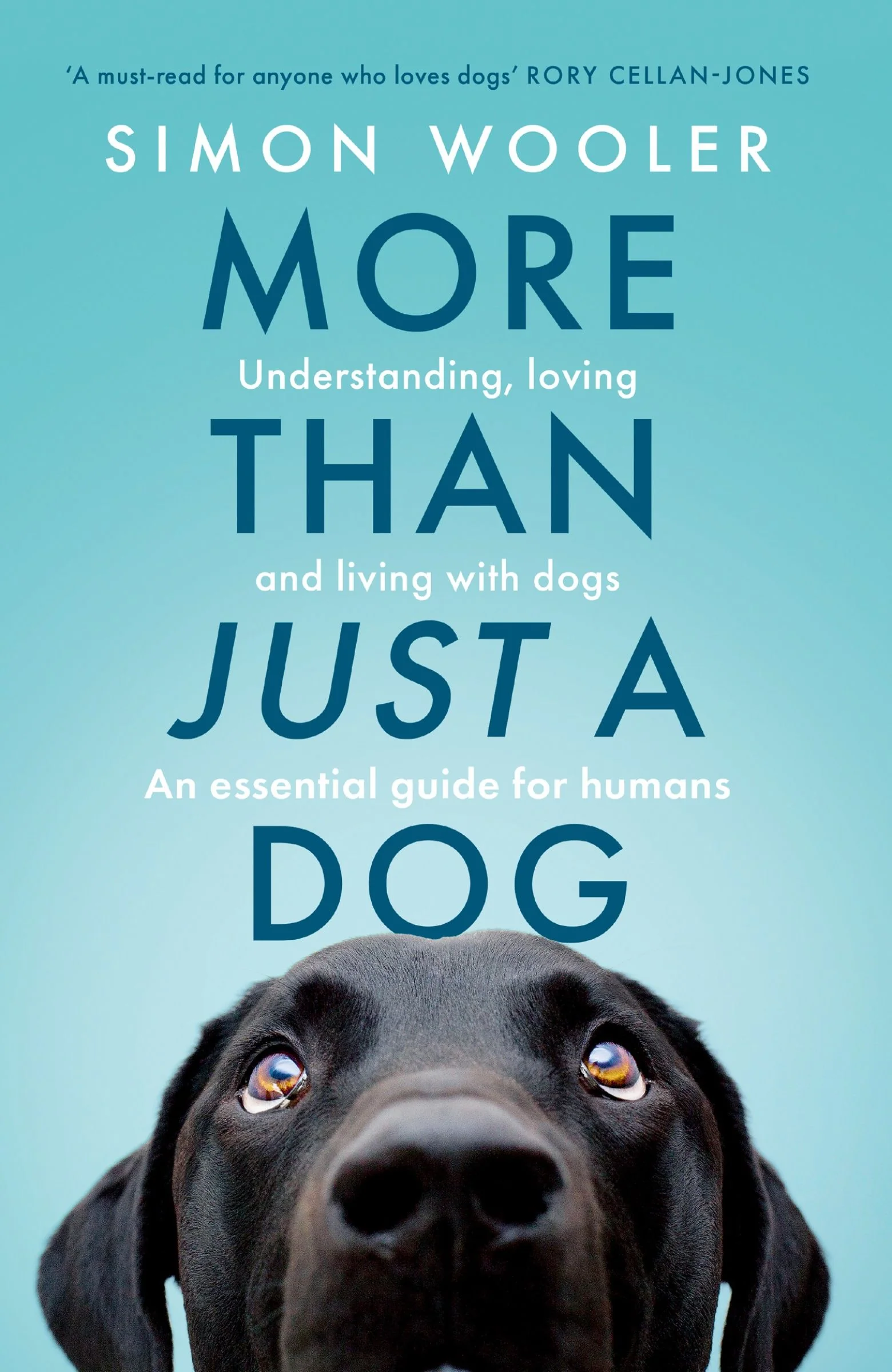More Than Just a Dog: Understanding, loving and living with dogs. An essential guide for humans. - Image 3