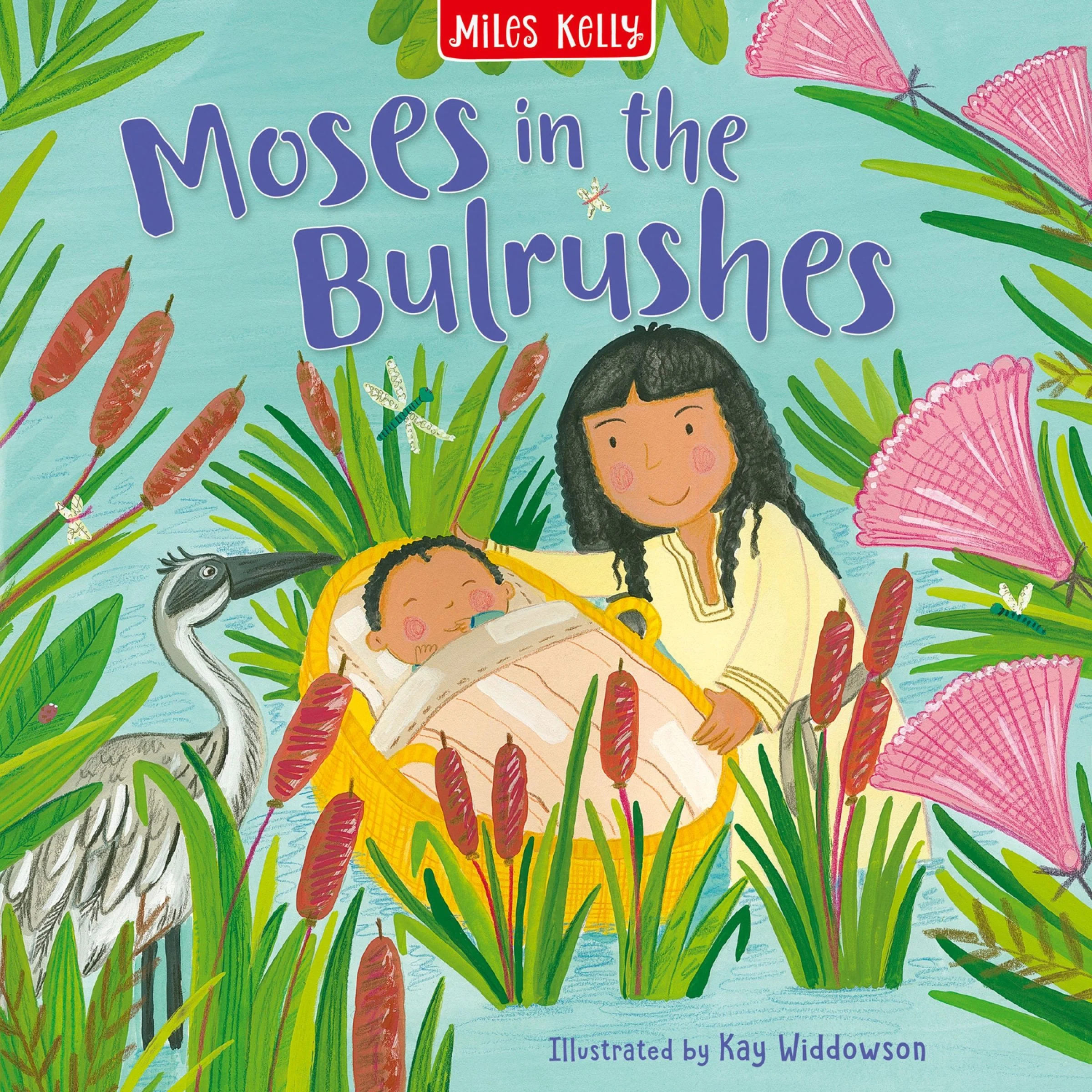 Moses in the Bulrushes (Bible Stories)