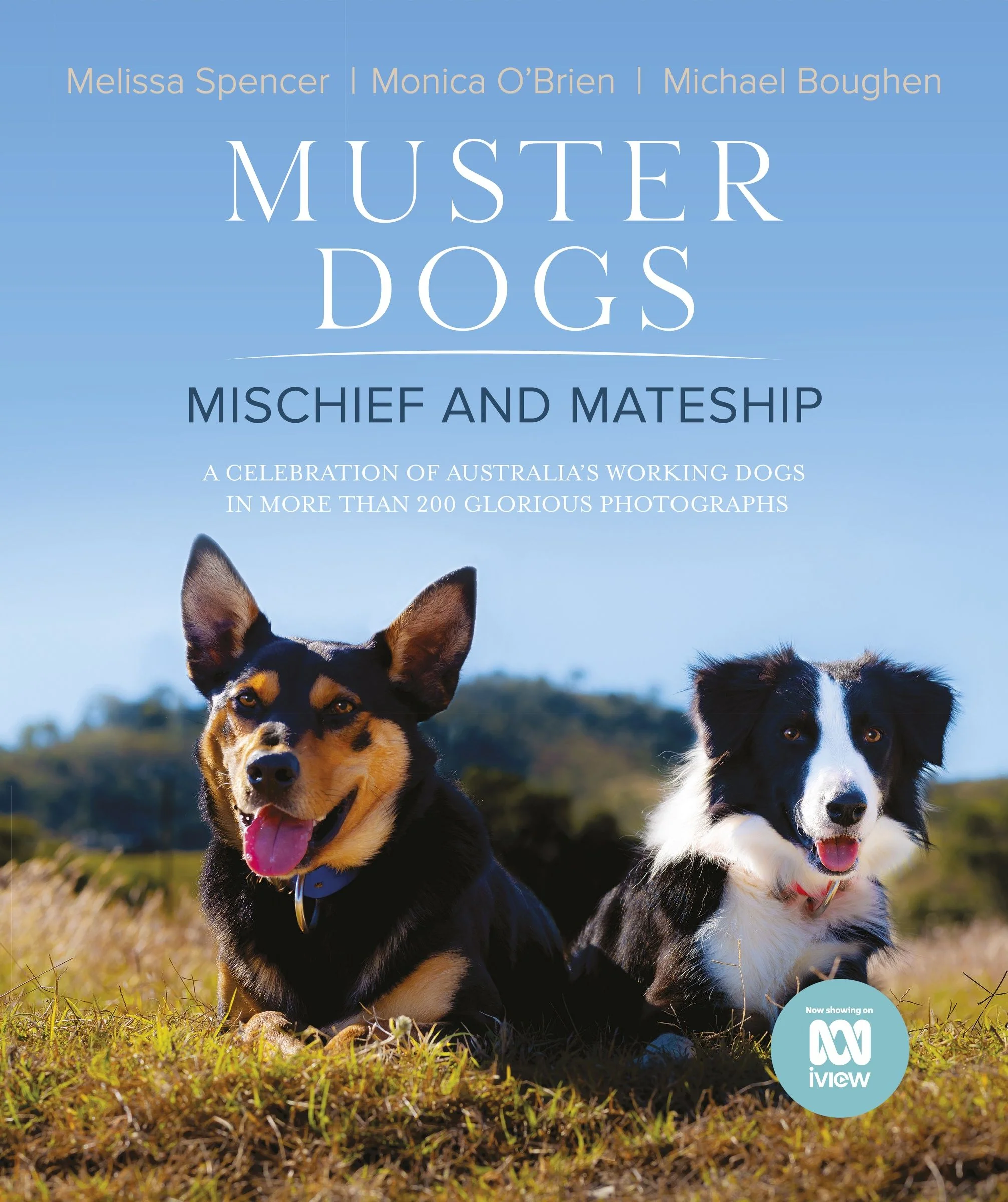 Muster Dogs: Mischief and Mateship: a charming companion picture book to the upcoming ABC television special Where Are They Now, for fans of THE FLYING VET and BACK ROADS