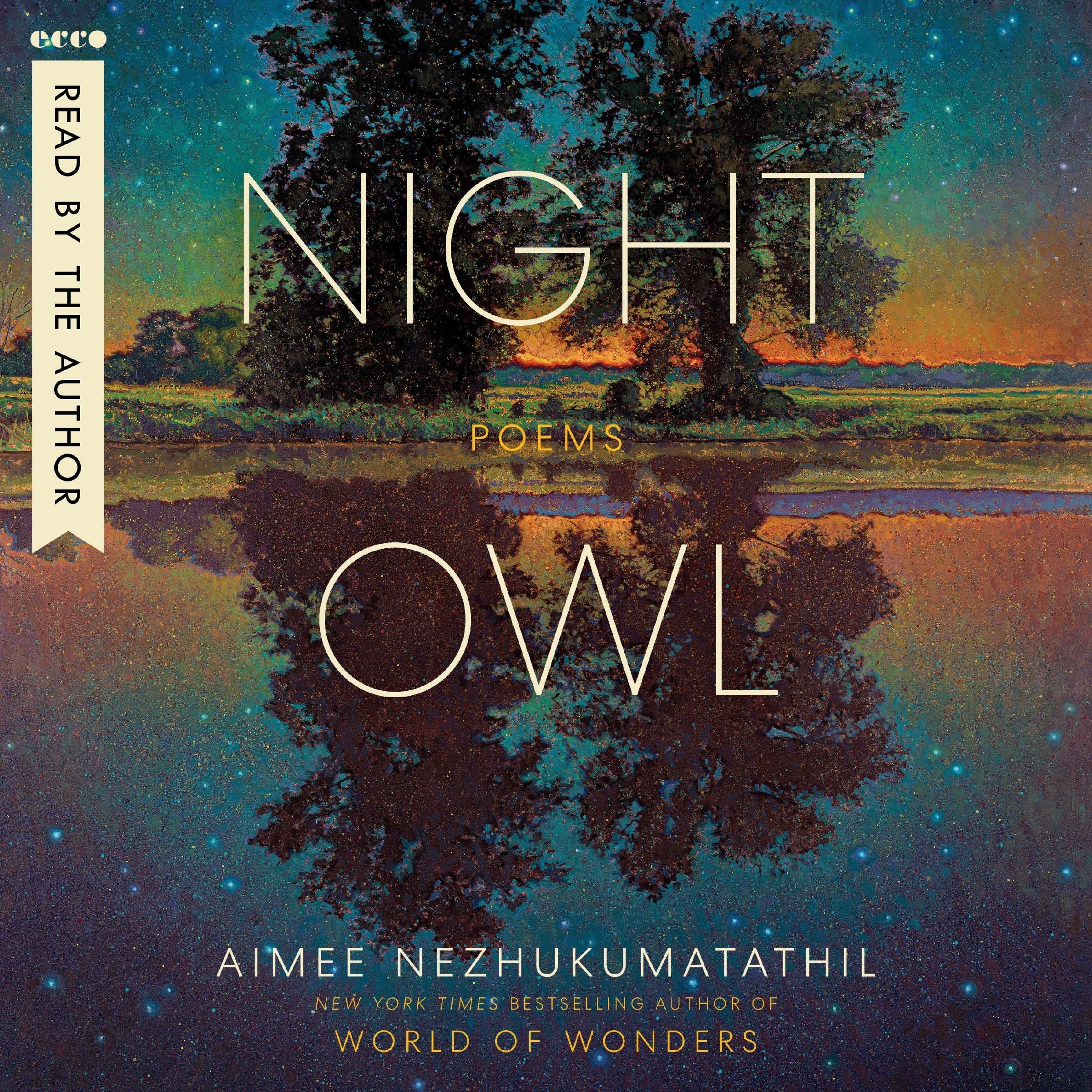 Night Owl - Image 4