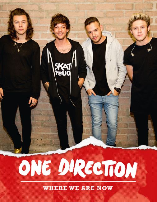 One Direction: Where We Are Now - Image 2