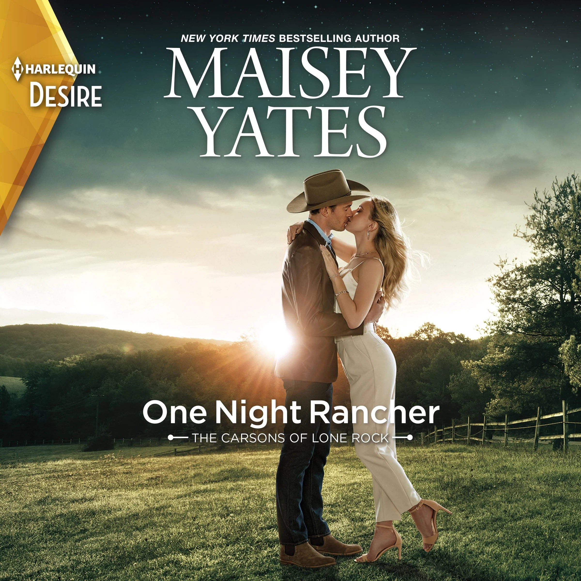 One Night Rancher - Image 2