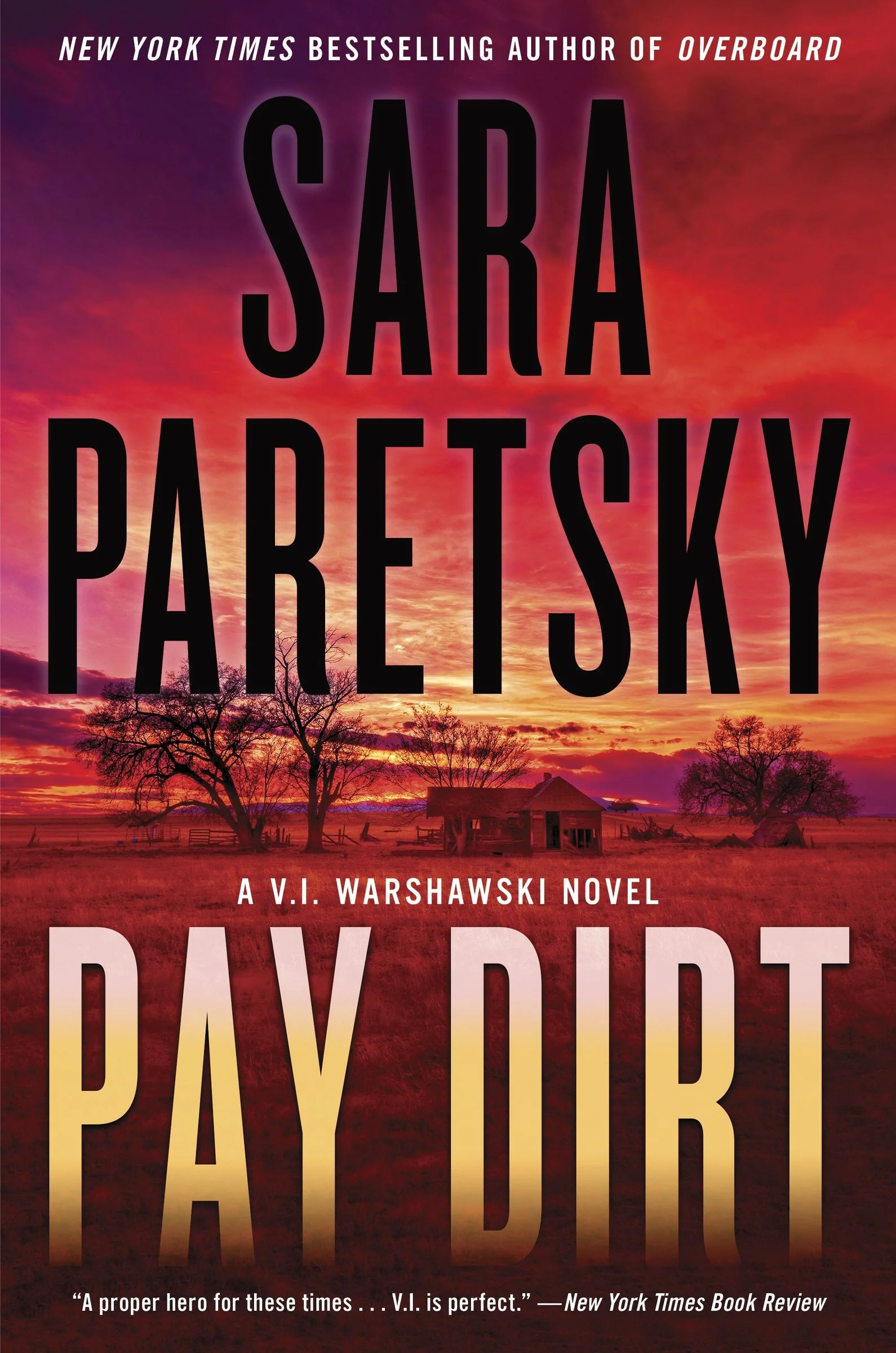 Pay Dirt - Image 2