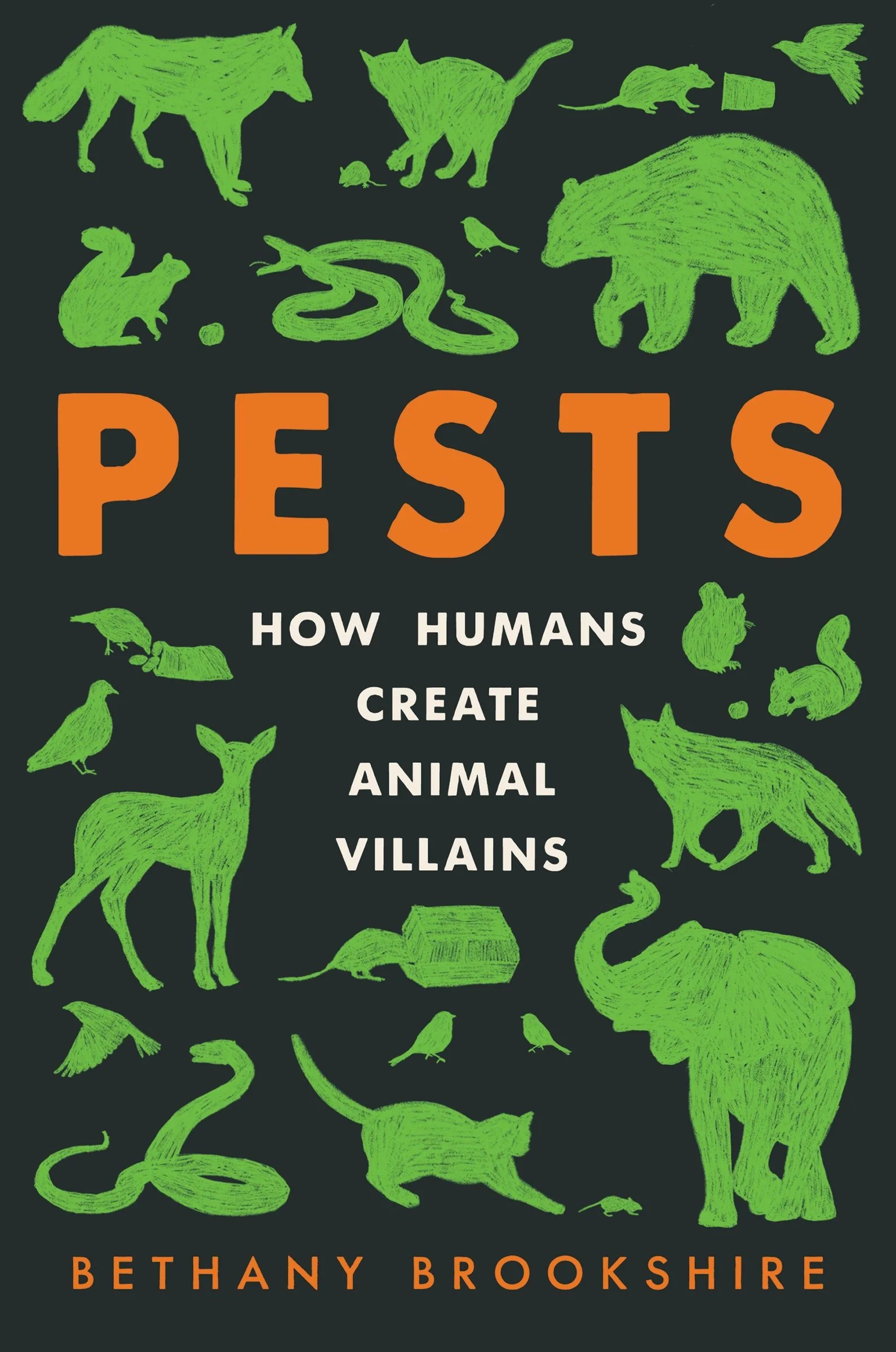 Pests - Image 3