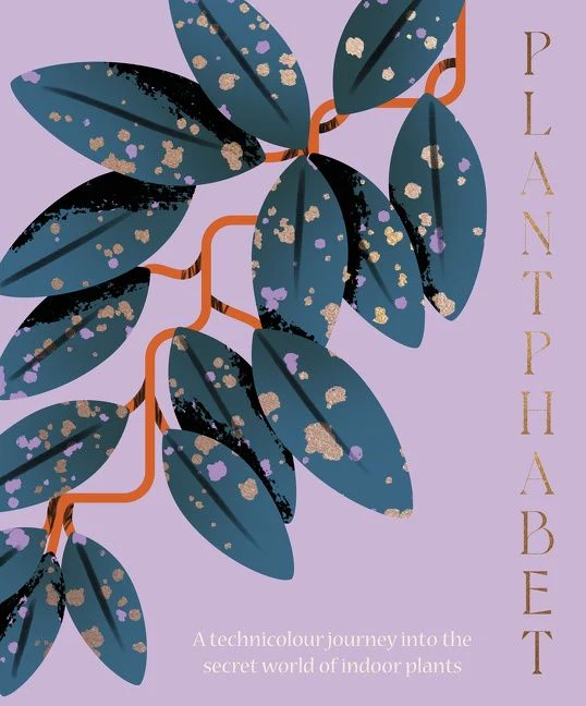 Plantphabet: A stunningly illustrated A-Z celebration of popular indoor plants - Image 2