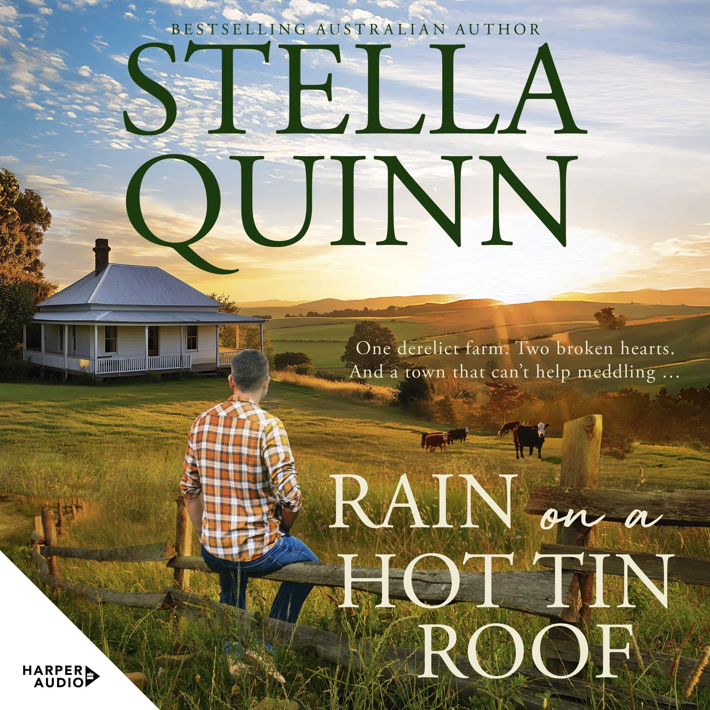 Rain on a Hot Tin Roof: A single dad and a town of matchmakers, 2026's funny new romance, perfect for readers of Karly Lane, from an award-winning and bestseller author