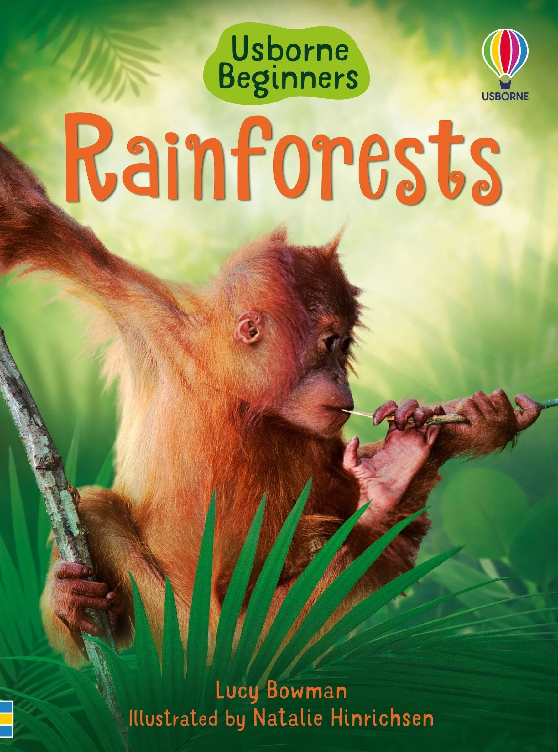 Rainforests (Usborne Beginners) - Image 2
