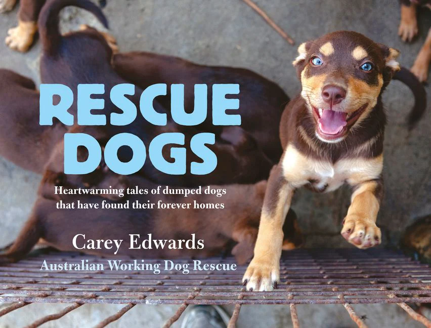 Rescue Dogs: Heartwarming tales of dumped dogs that have found their forever homes