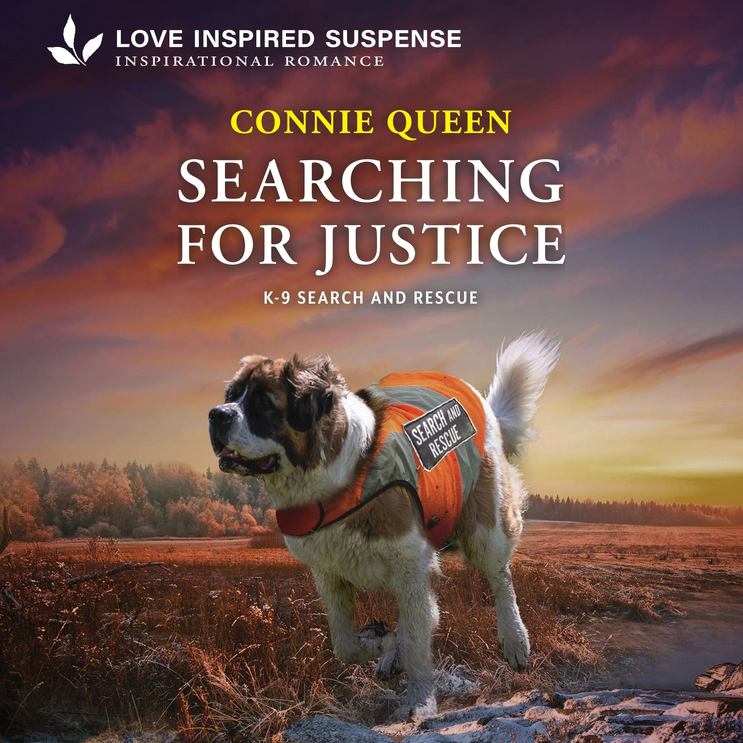 Searching for Justice - Image 2