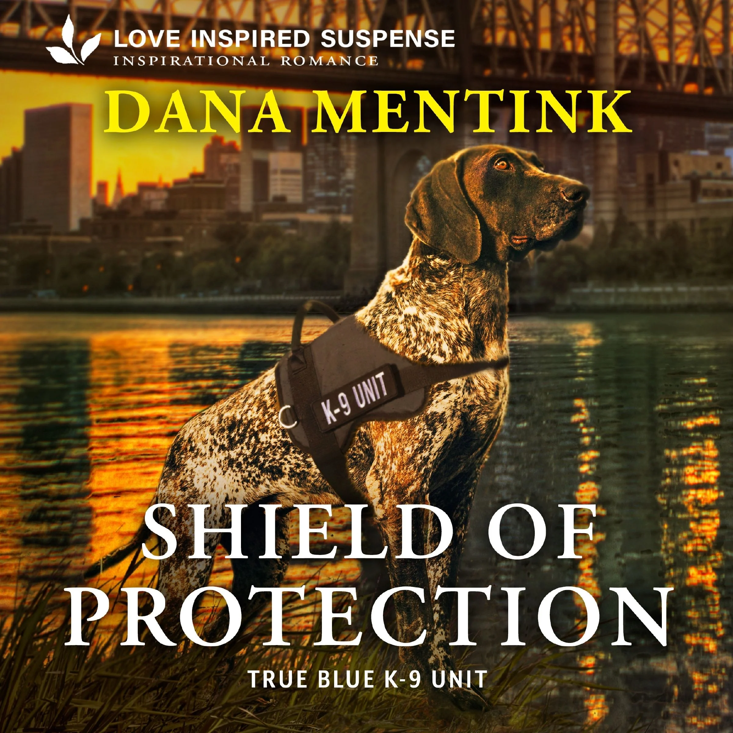 Shield of Protection