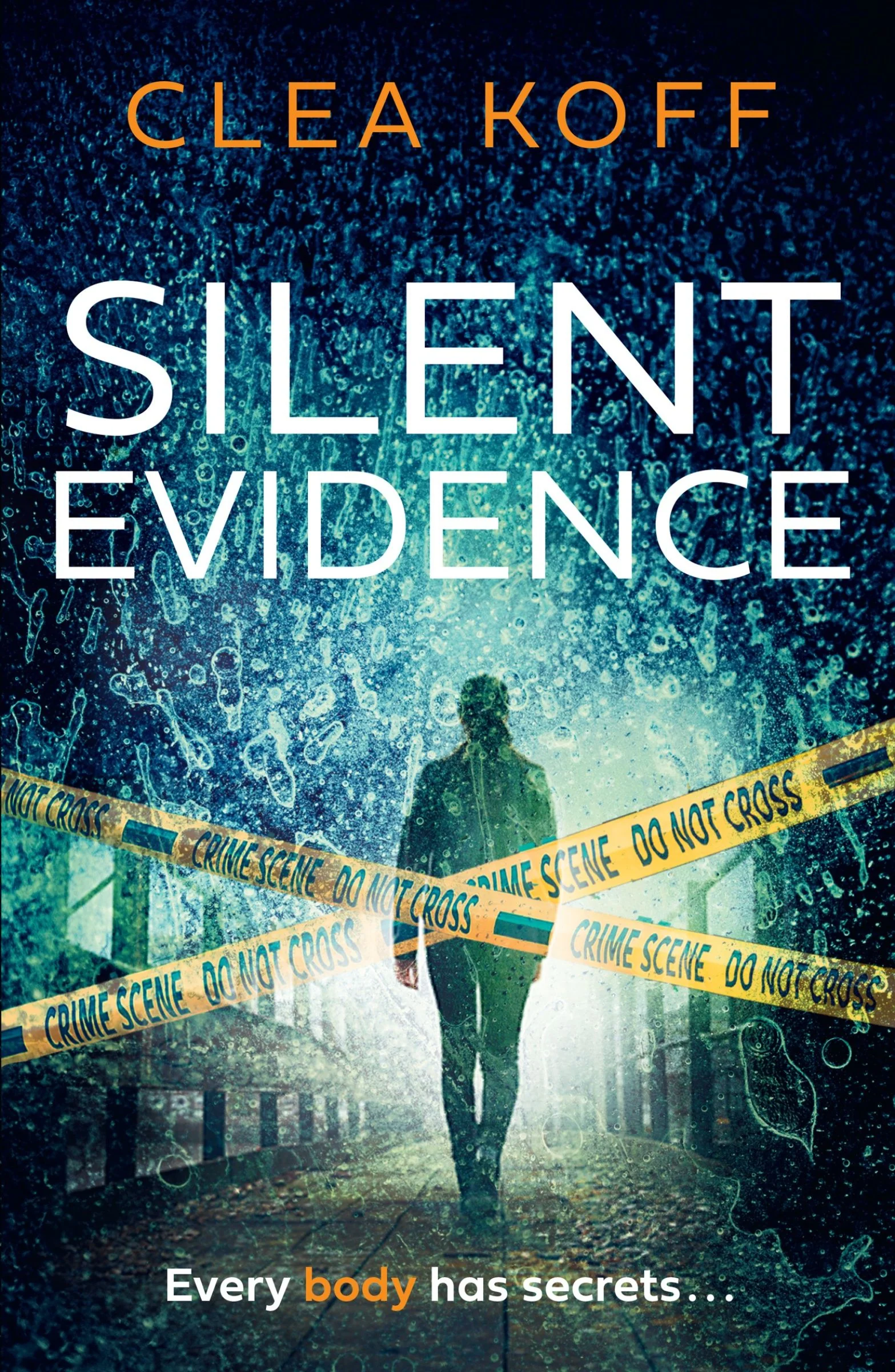 Silent Evidence (The Jayne and Steelie Series, Book 1)