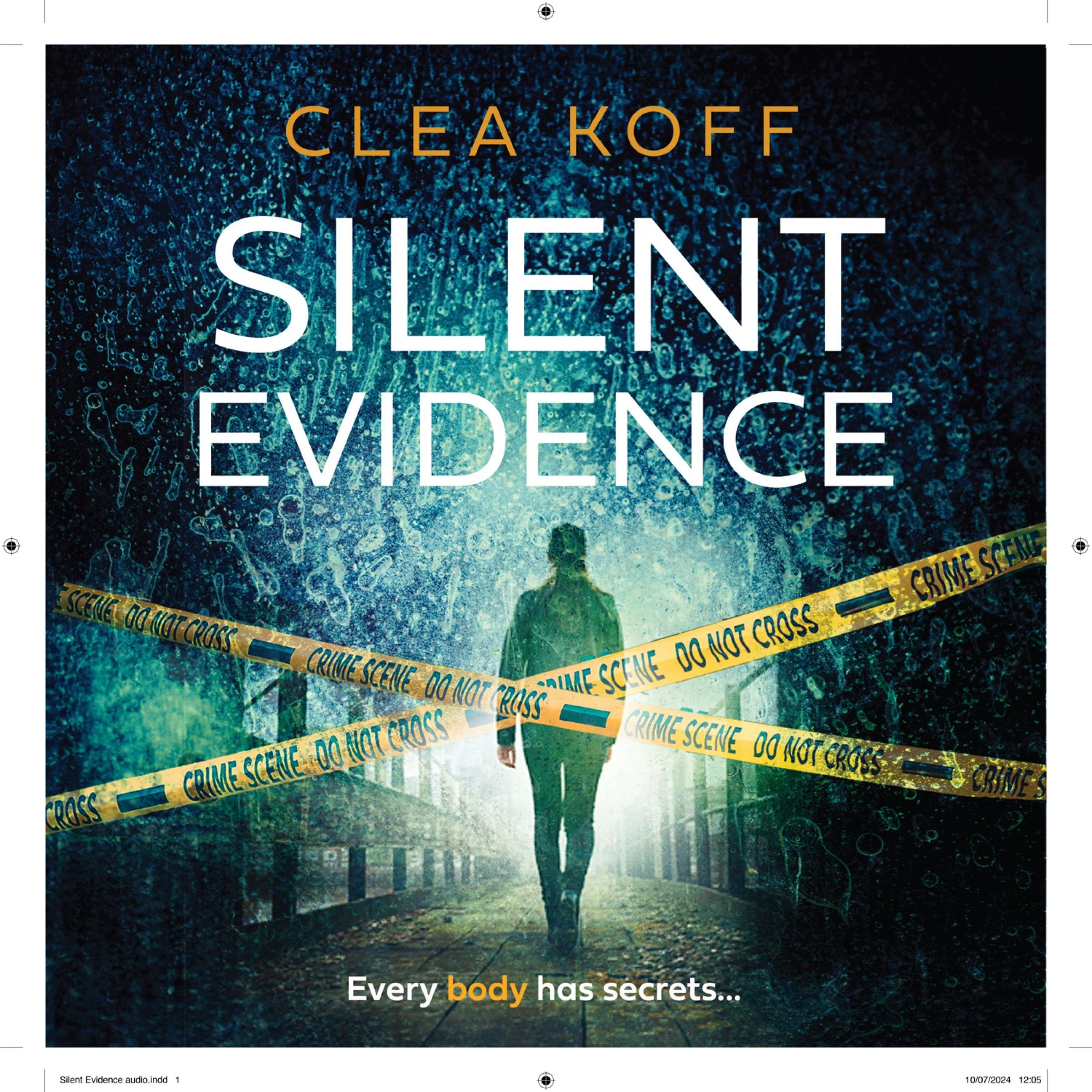 Silent Evidence (The Jayne and Steelie Series, Book 1) - Image 4