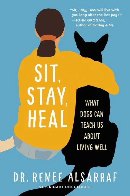 Sit, Stay, Heal - Image 3
