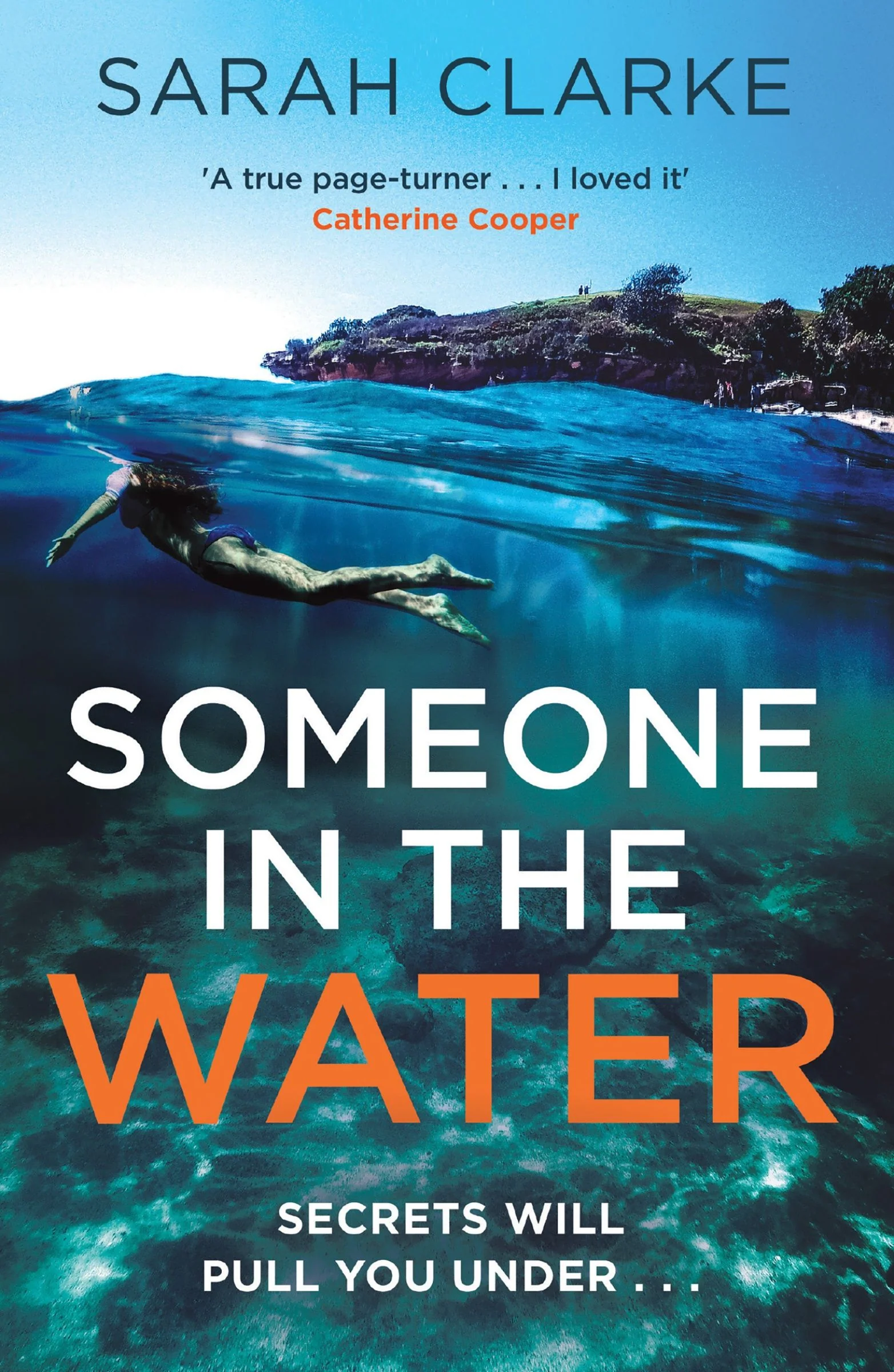 Someone in the Water - Image 2