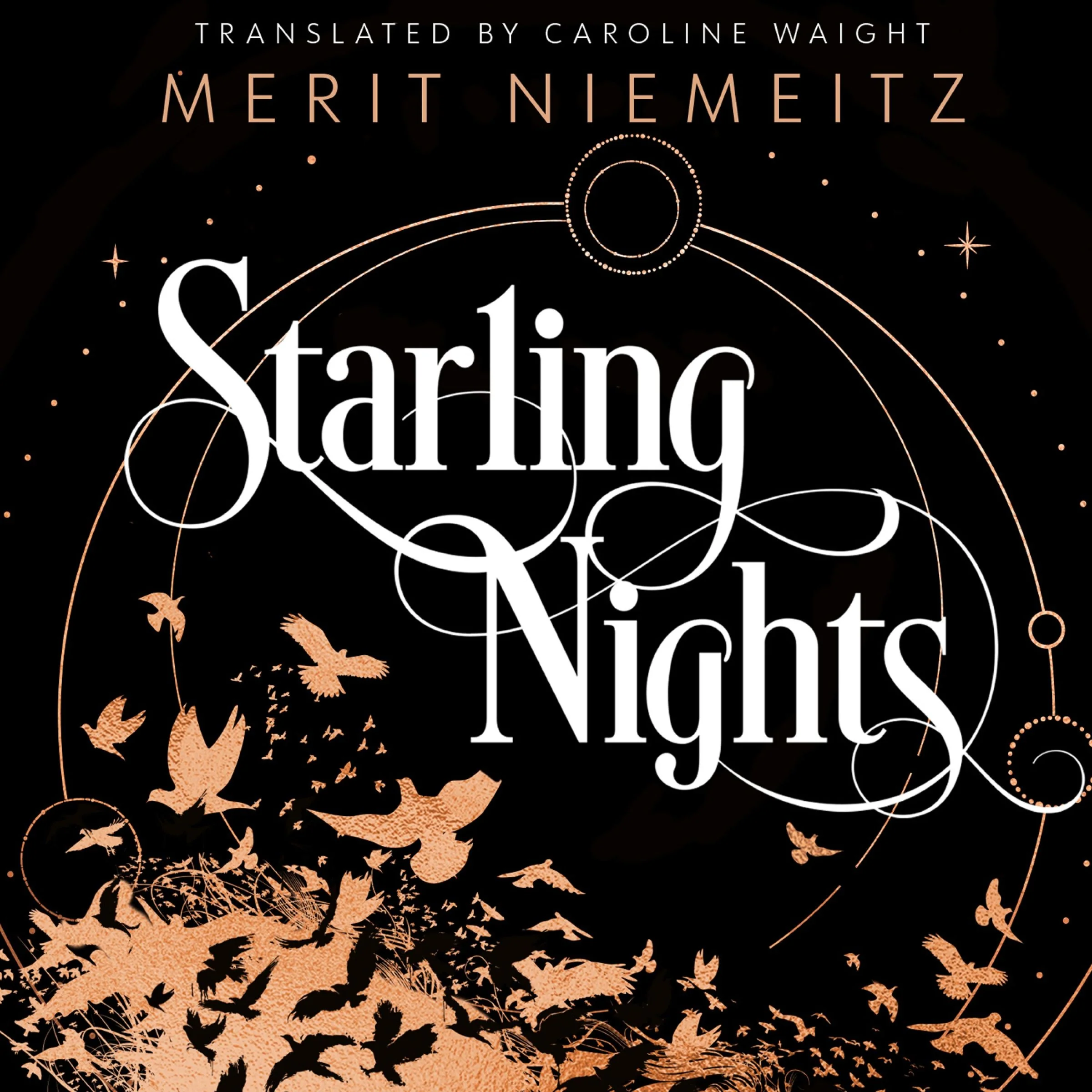Starling Nights