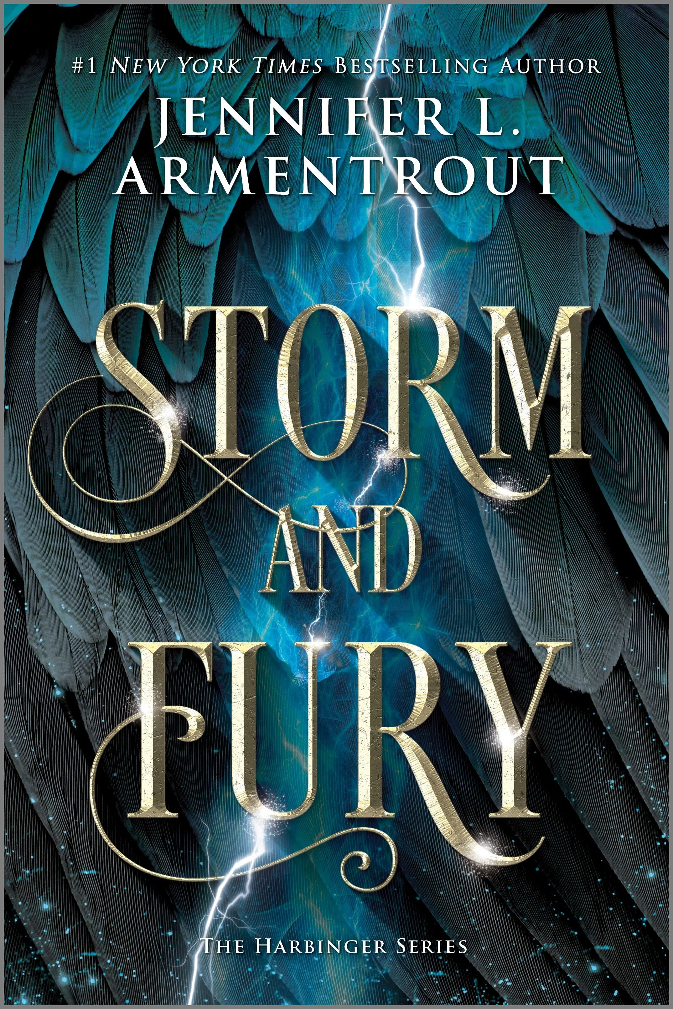 Storm and Fury - Image 2