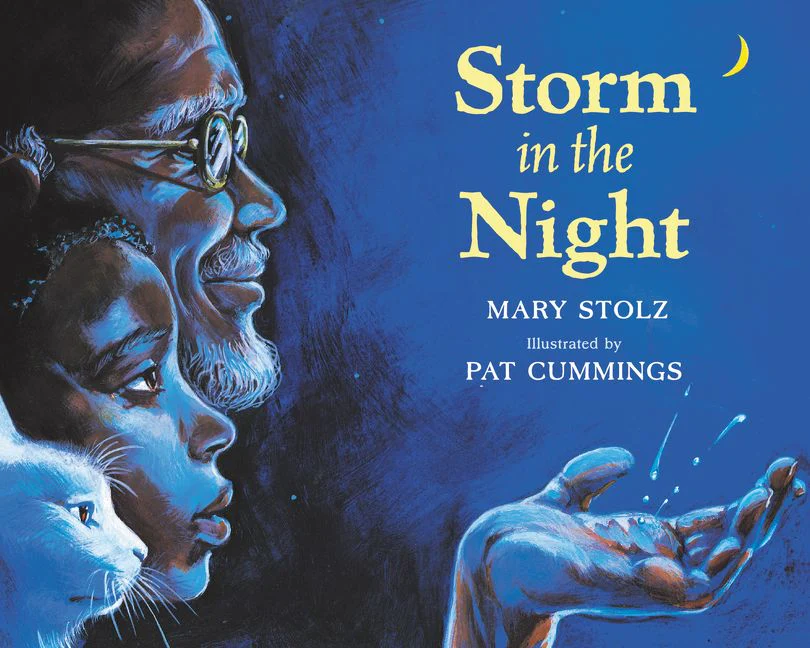 Storm in the Night - Image 2