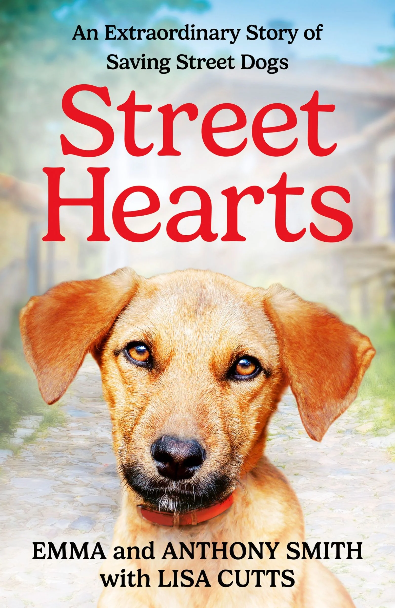 Street Hearts: An Extraordinary Story of Saving Street Dogs - Image 4
