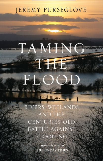 Taming the Flood - Image 2