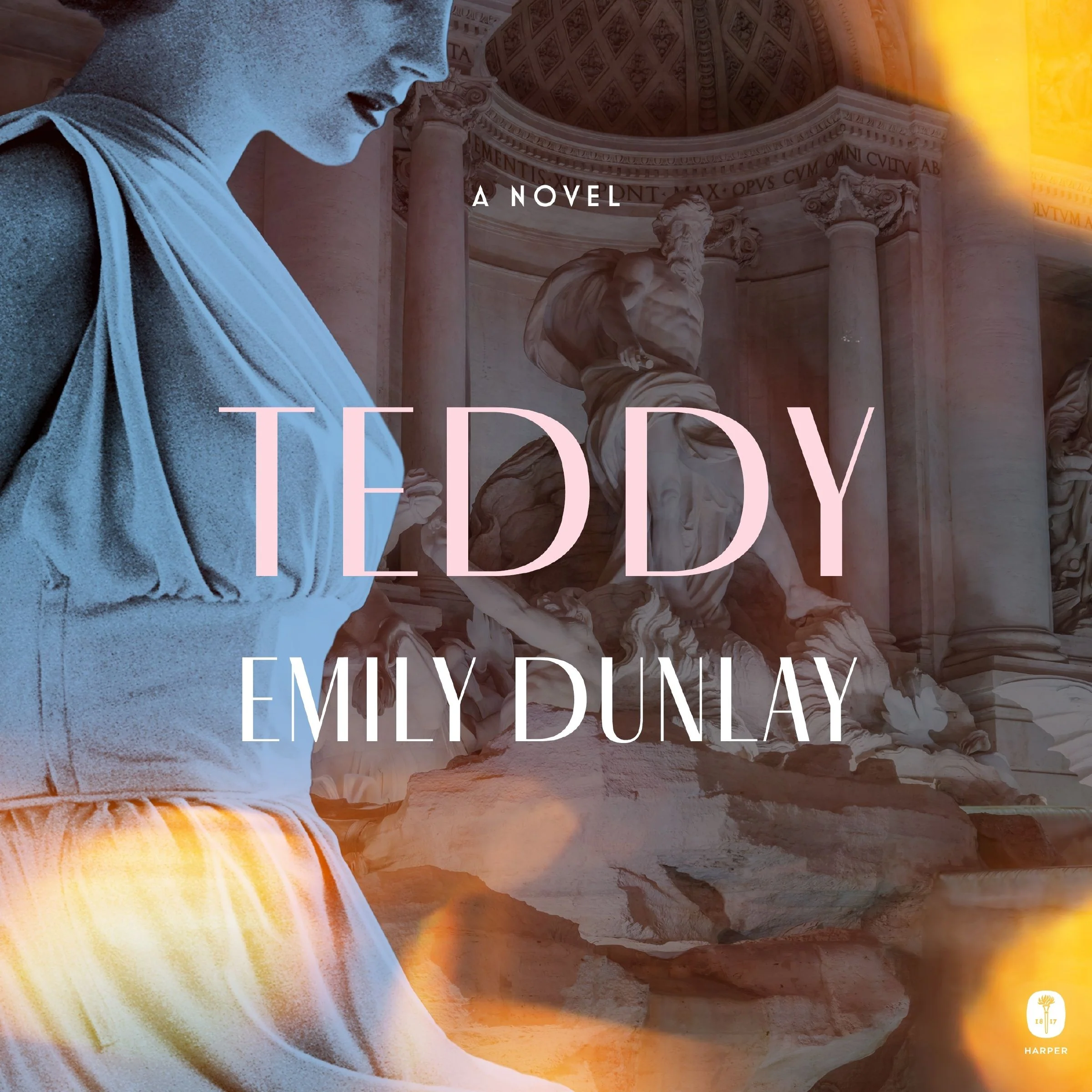 Teddy - Image 5
