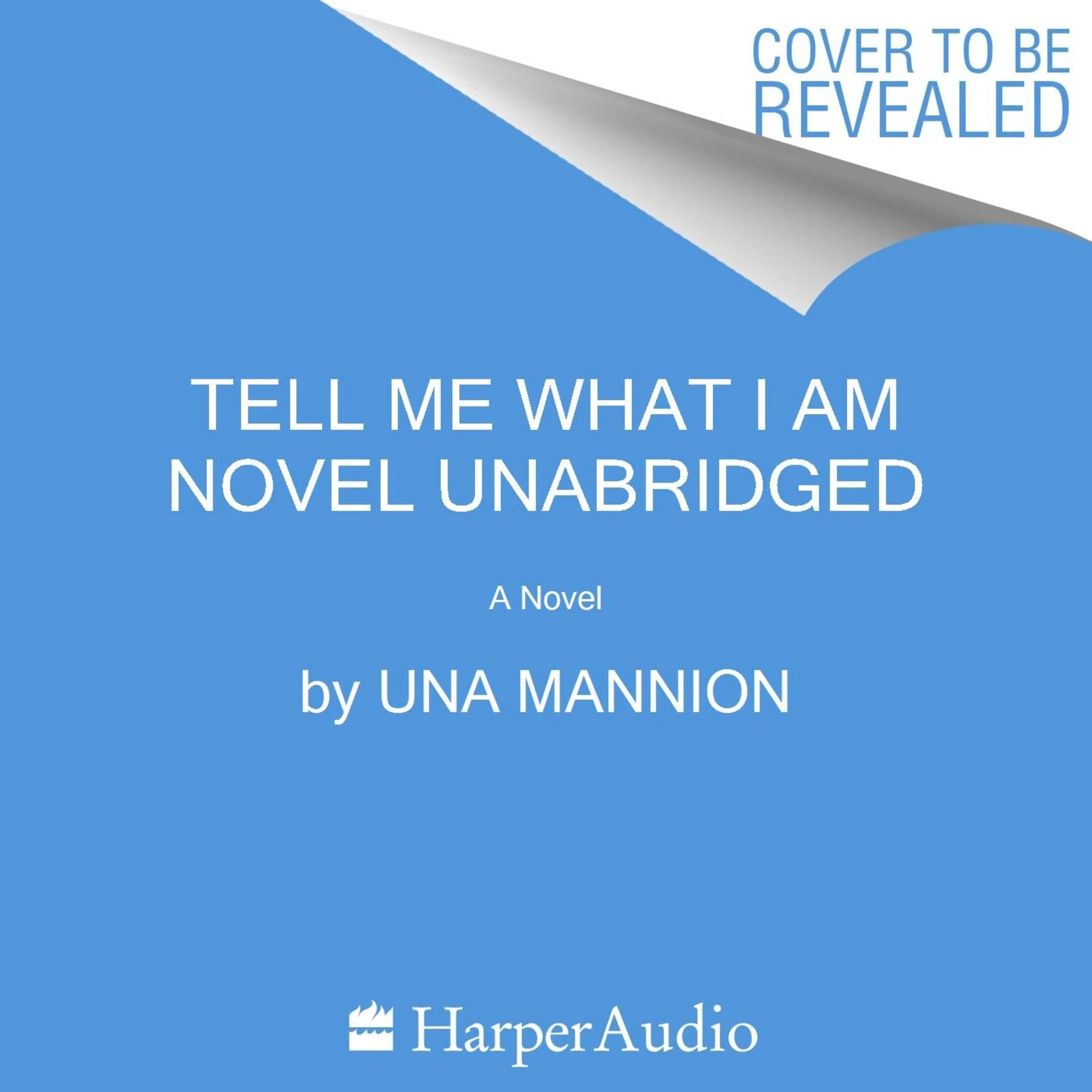 Tell Me What I Am Novel