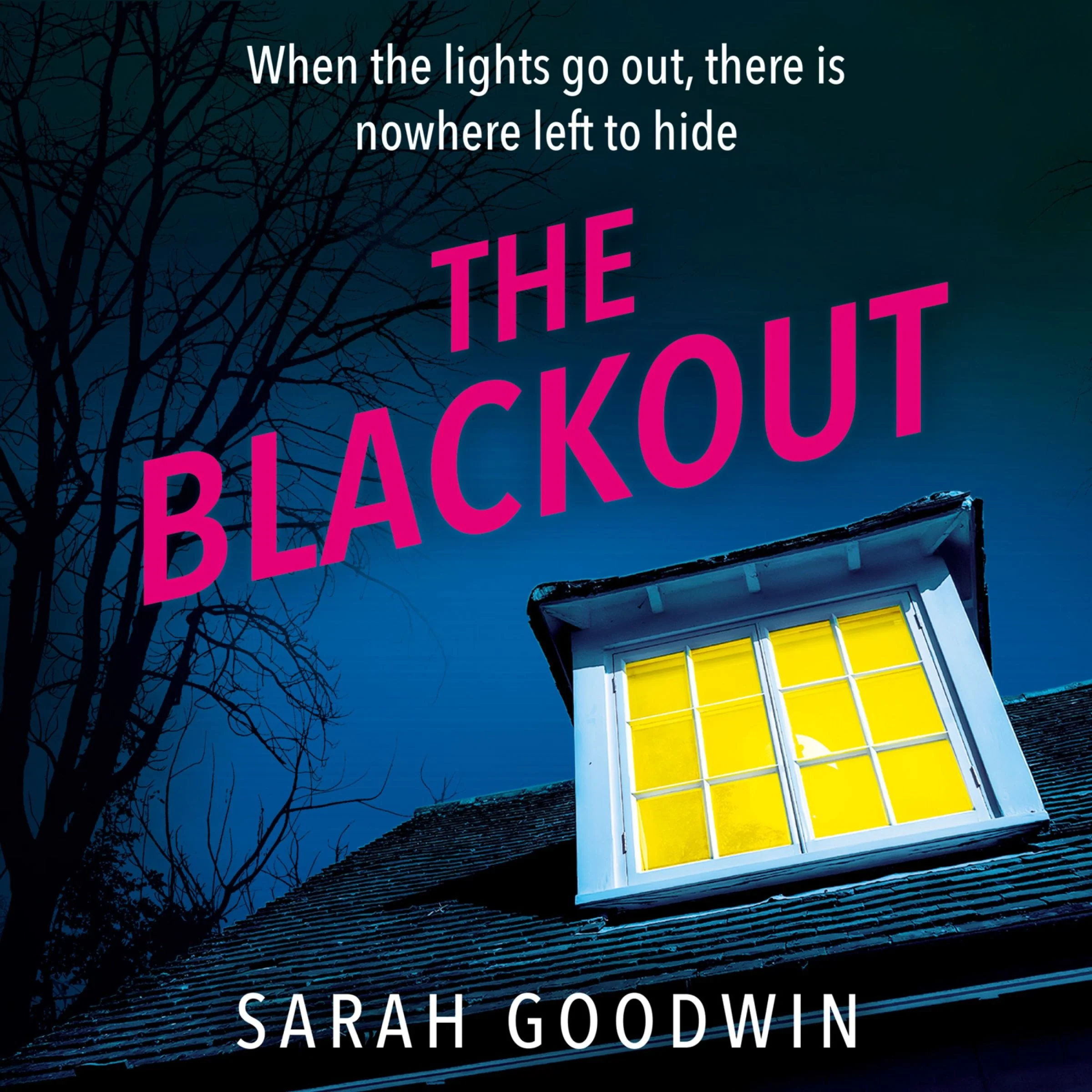 The Blackout (The Thriller Collection, Book 4)