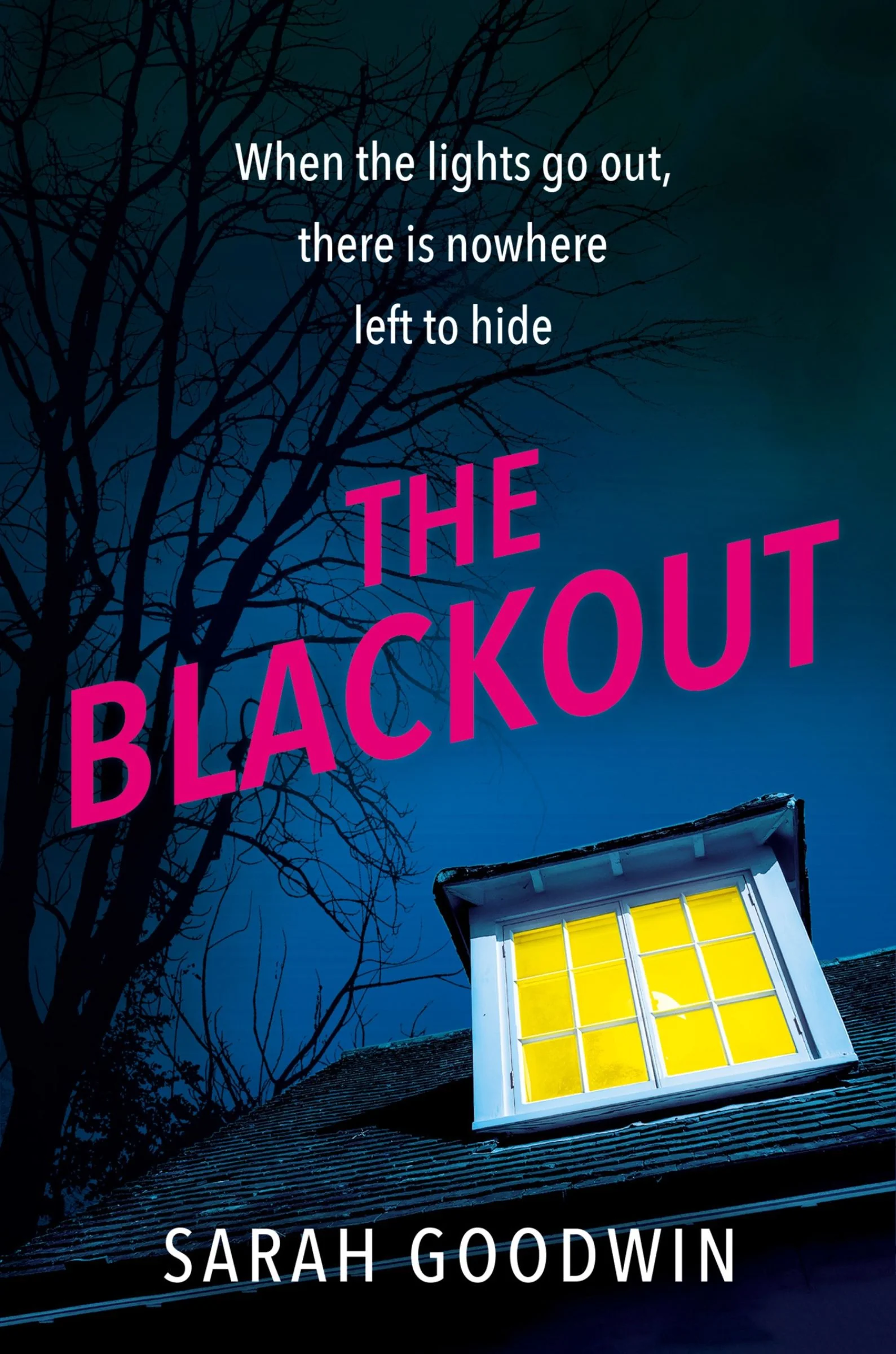 The Blackout (The Thriller Collection, Book 4) - Image 4