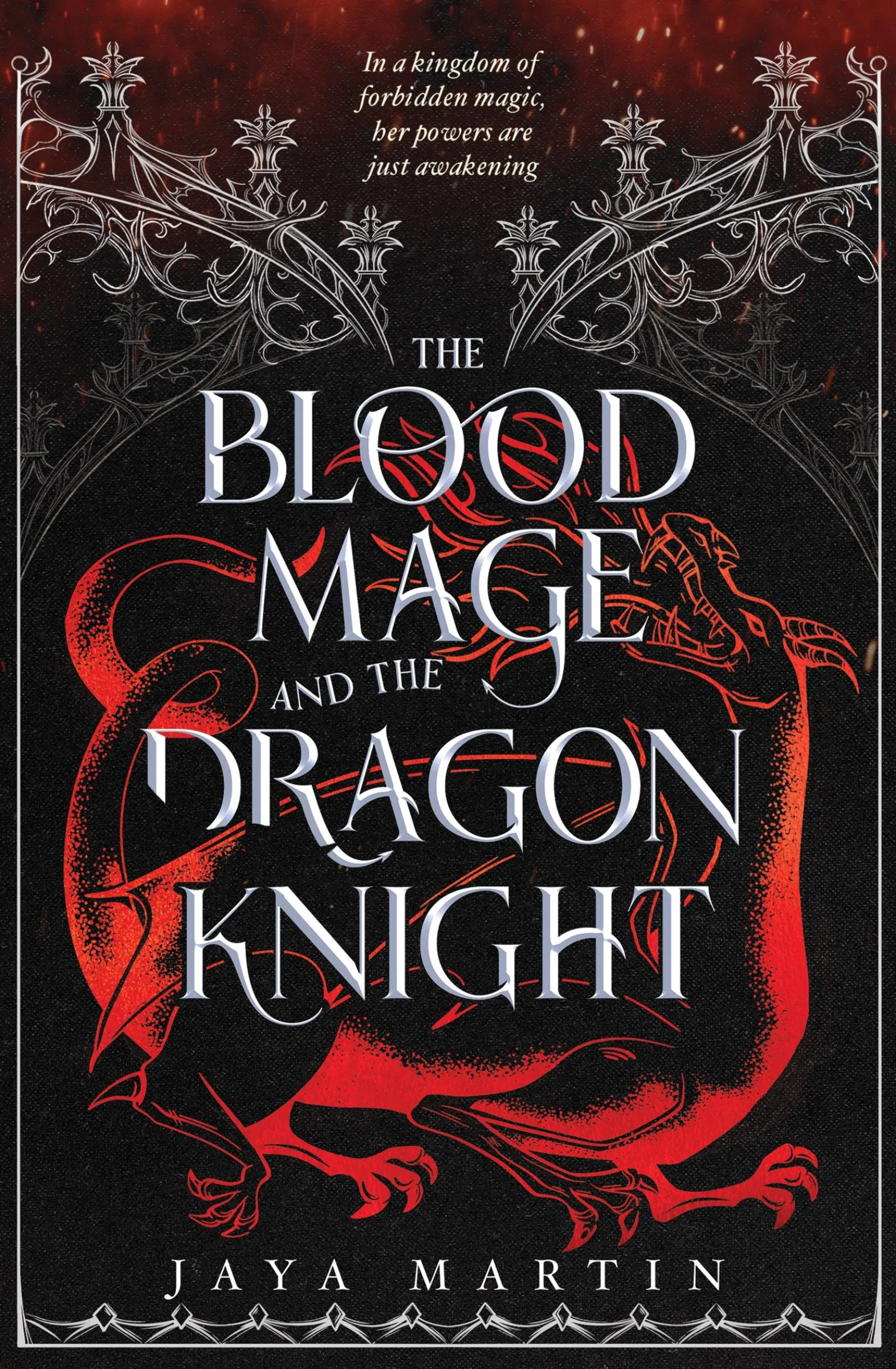 The Blood Mage and the Dragon Knight (The Lone Wolf, Book 1)