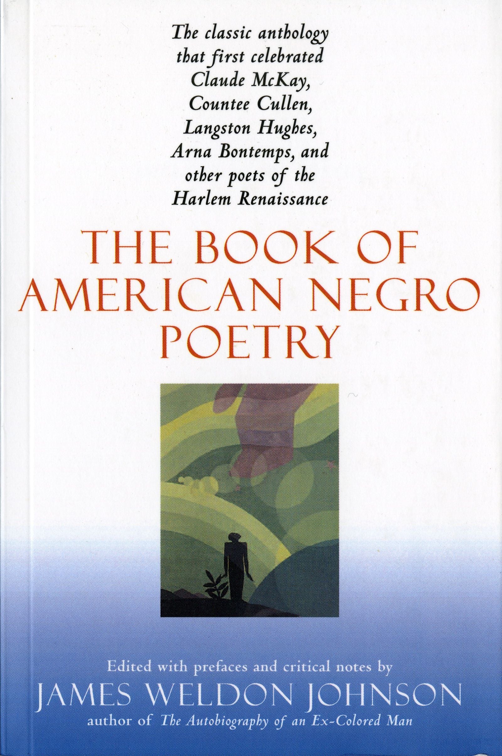 The Book Of American Negro Poetry