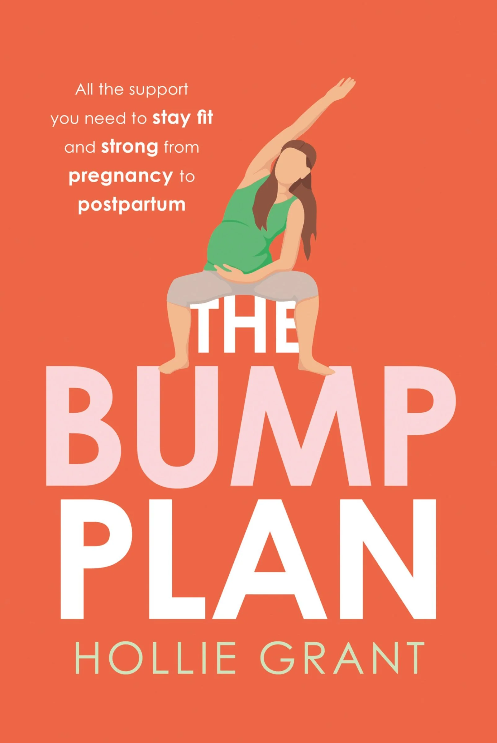 The Bump Plan - Image 2
