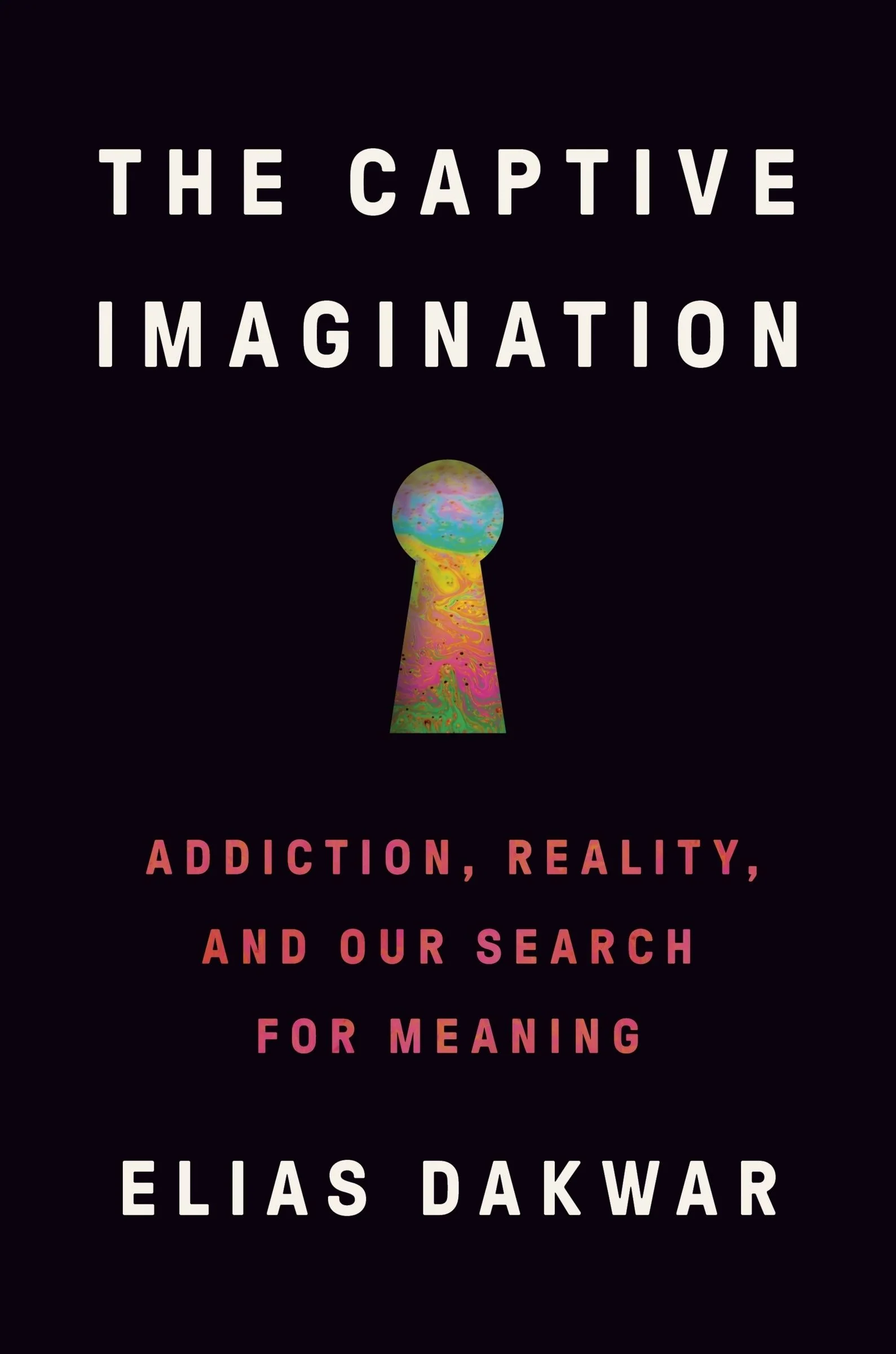 The Captive Imagination - Image 2