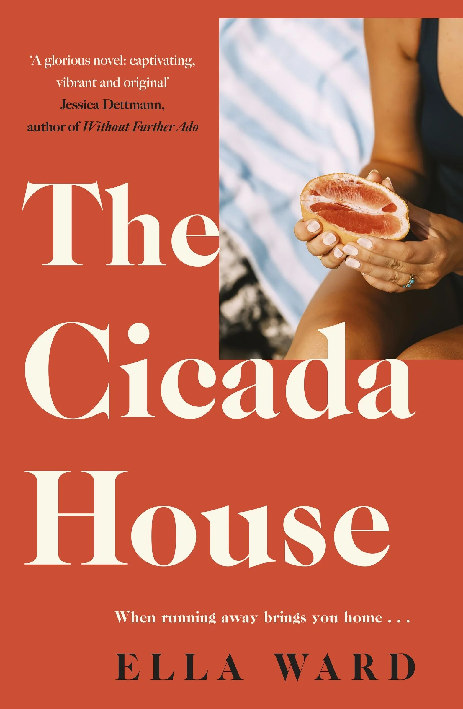The Cicada House: A heartfelt and feel-good time-travelling love story and debut novel, perfect for readers of Dolly Alderton, Sally Hepworth and Mhairi McFarlane
