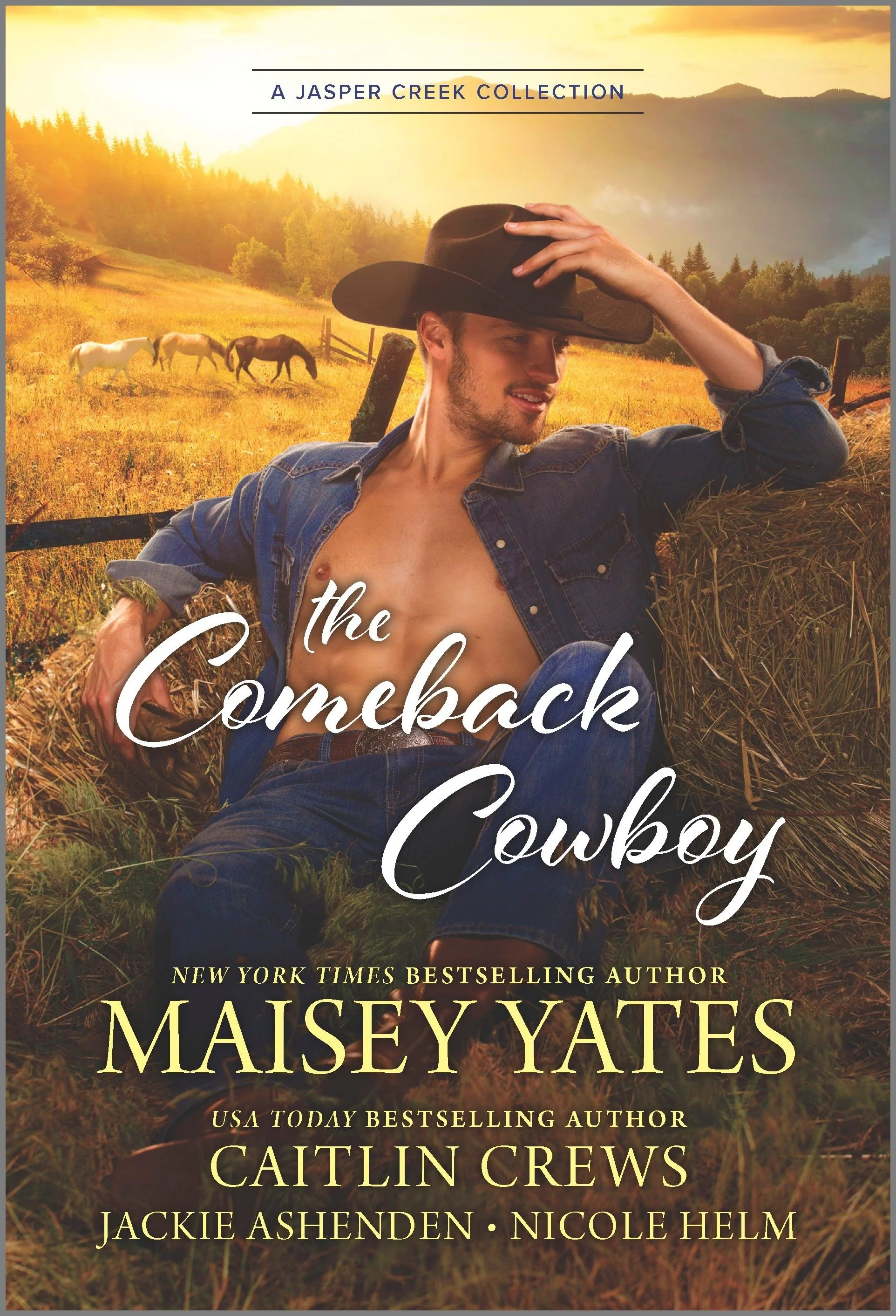 The Comeback Cowboy - Image 2