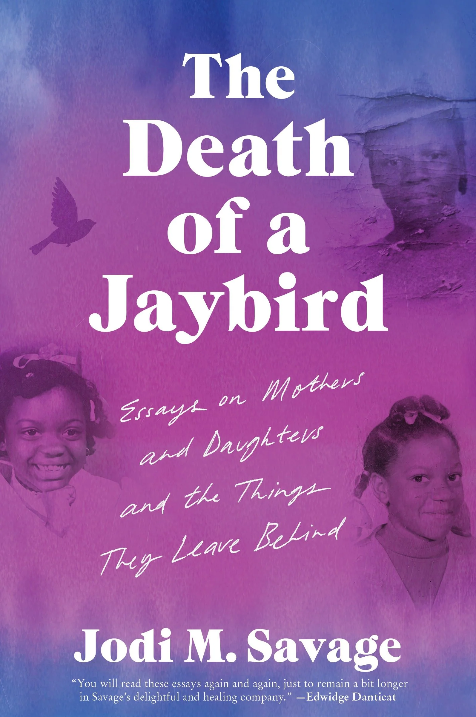 The Death of a Jaybird - Image 2