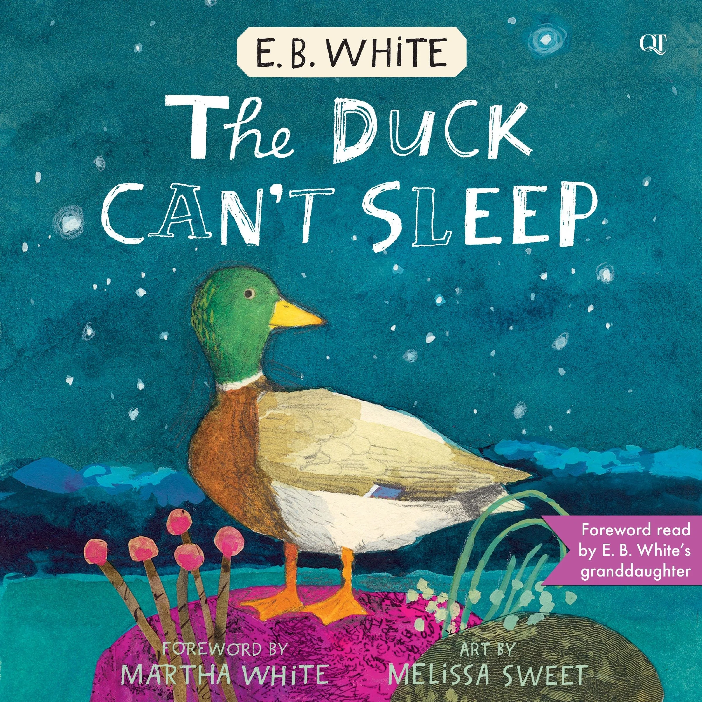 The Duck Can't Sleep - Image 3